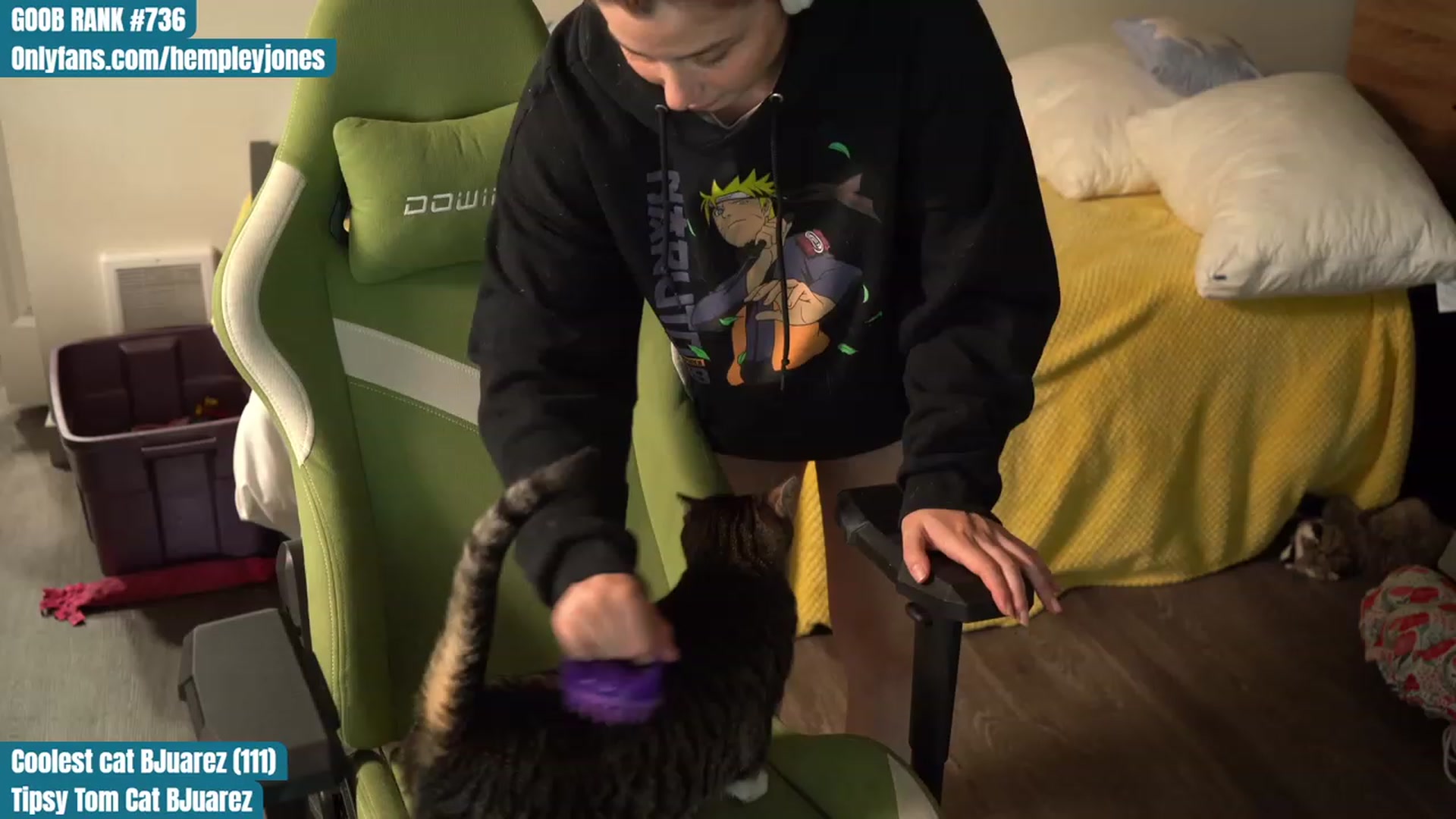 Gallery image thumbnail from Hempleyjones's myfreecams stream on, 08/23/2023, 23:56 image 8 of 20
