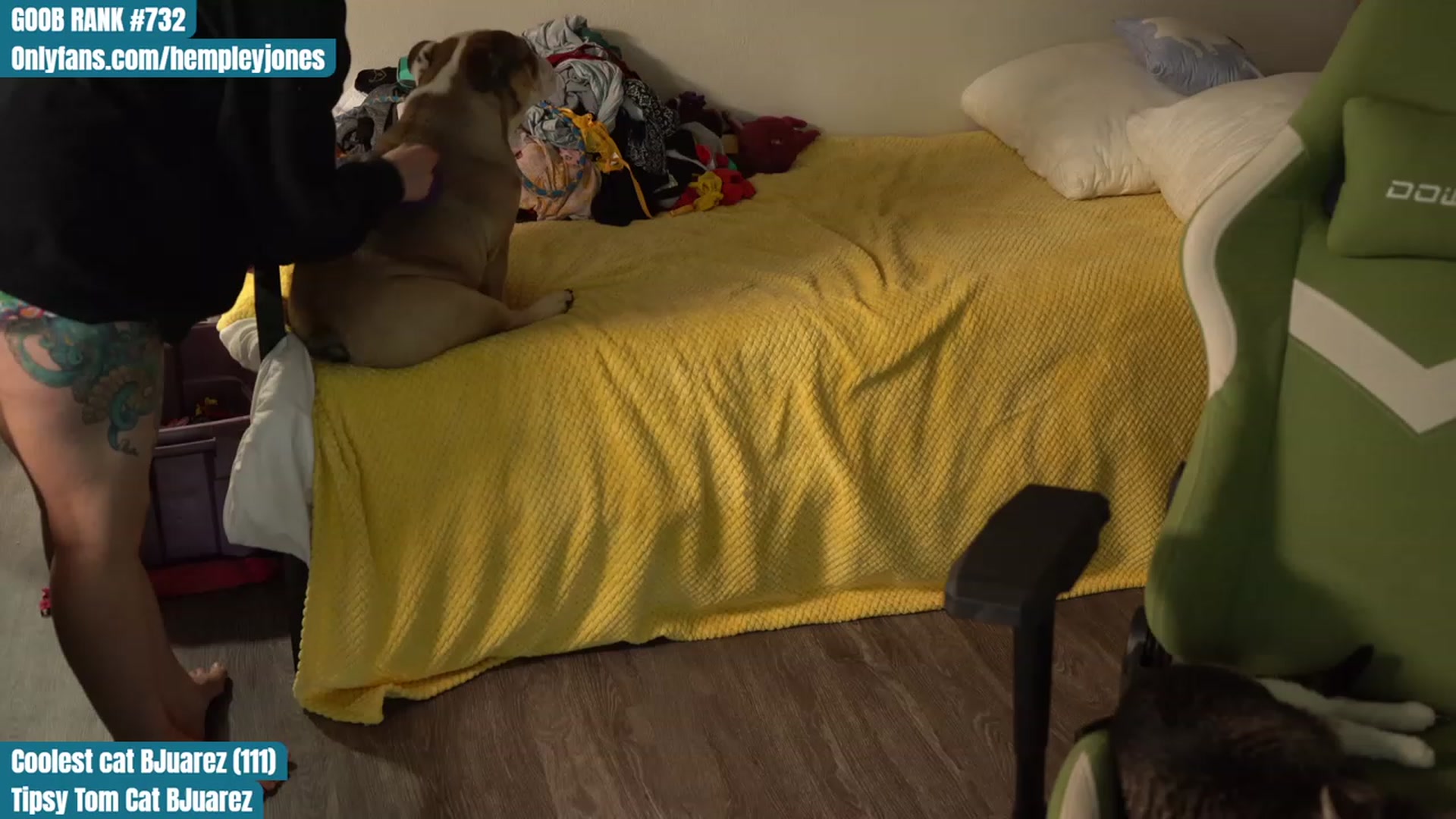 Gallery image thumbnail from Hempleyjones's myfreecams stream on, 08/23/2023, 23:56 image 10 of 20