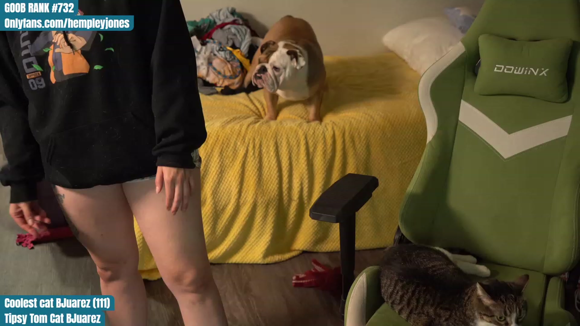 Gallery image thumbnail from Hempleyjones's myfreecams stream on, 08/23/2023, 23:56 image 11 of 20