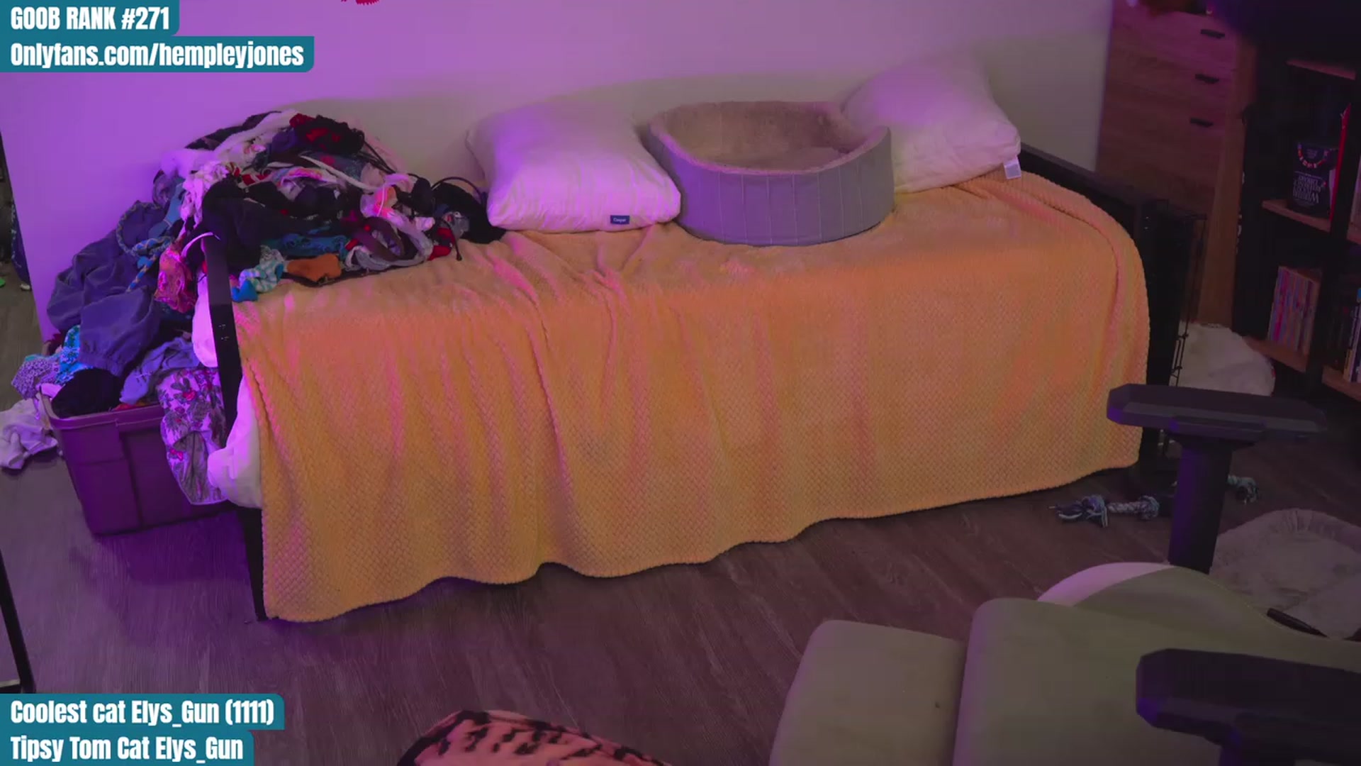 Gallery image thumbnail from Hempleyjones's myfreecams stream on, 09/01/2023, 21:37 image 17 of 20