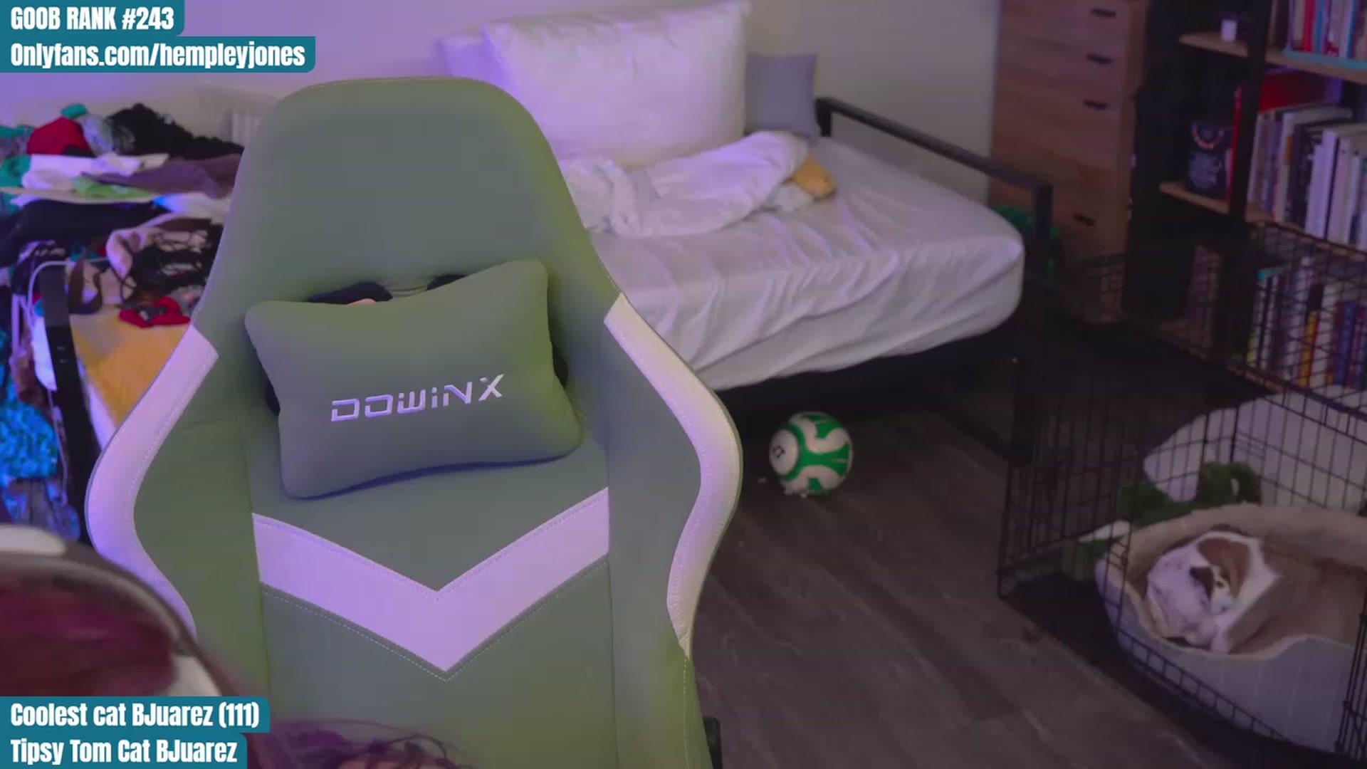 Gallery image thumbnail from Hempleyjones's myfreecams stream on, 09/03/2023, 24:01 image 6 of 20