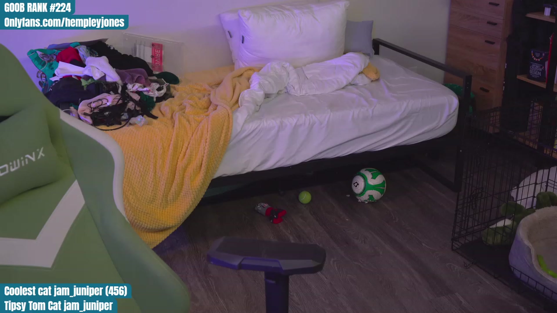 Gallery image thumbnail from Hempleyjones's myfreecams stream on, 09/03/2023, 02:10 image 8 of 20