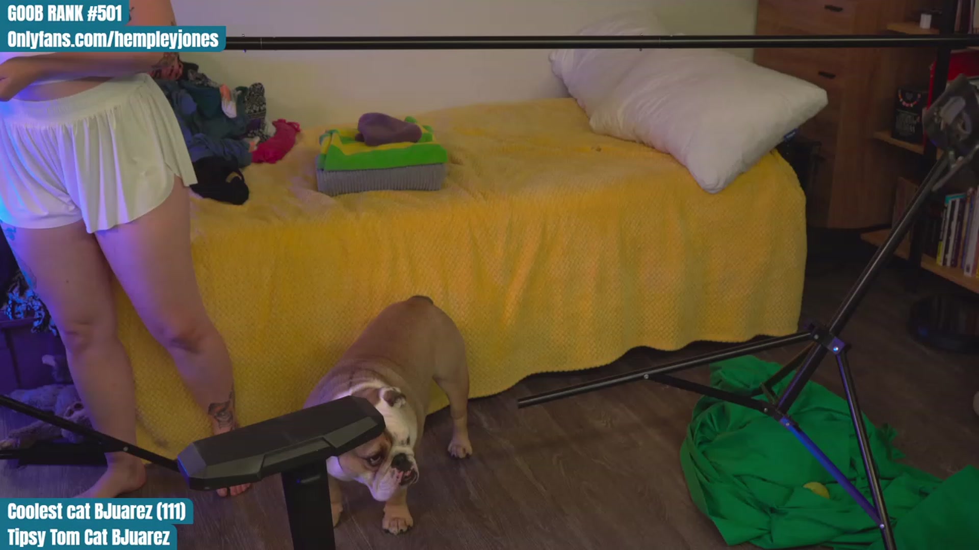 Gallery image thumbnail from Hempleyjones's myfreecams stream on, 09/04/2023, 21:21 image 4 of 20