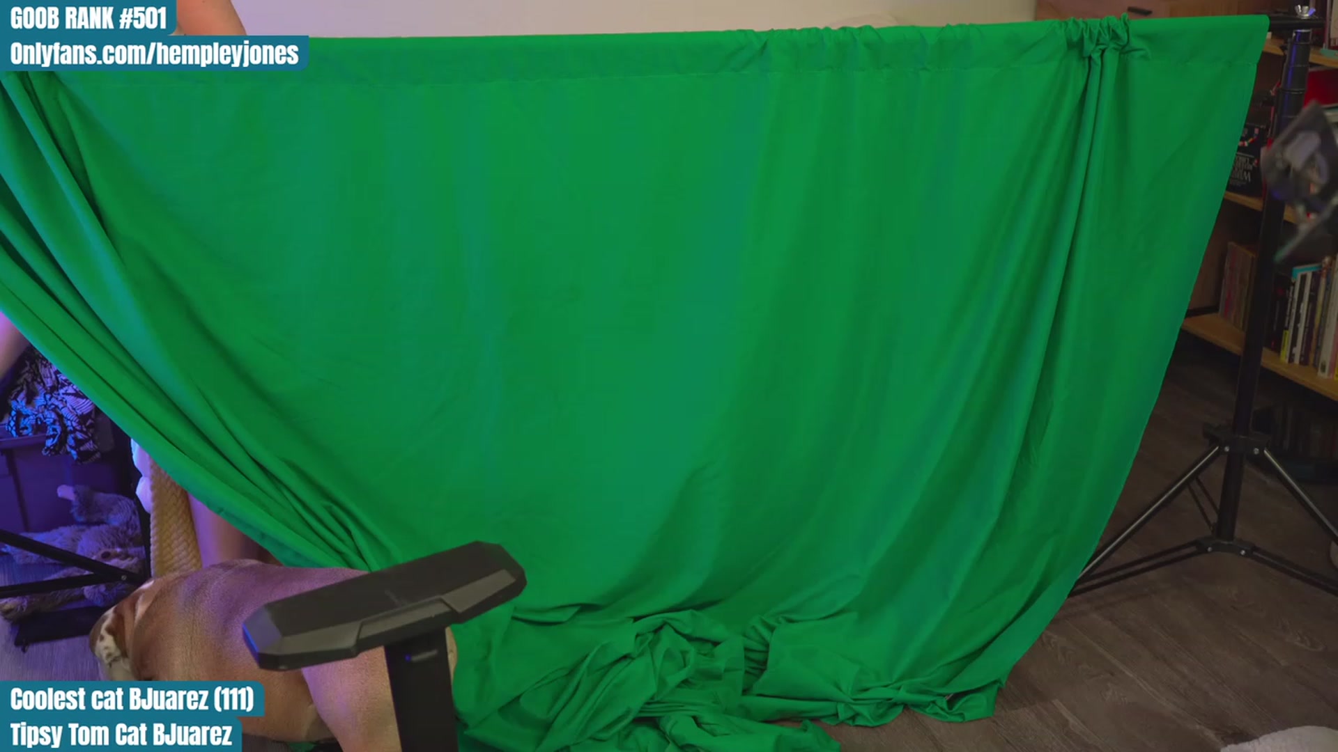 Gallery image thumbnail from Hempleyjones's myfreecams stream on, 09/04/2023, 21:21 image 8 of 20
