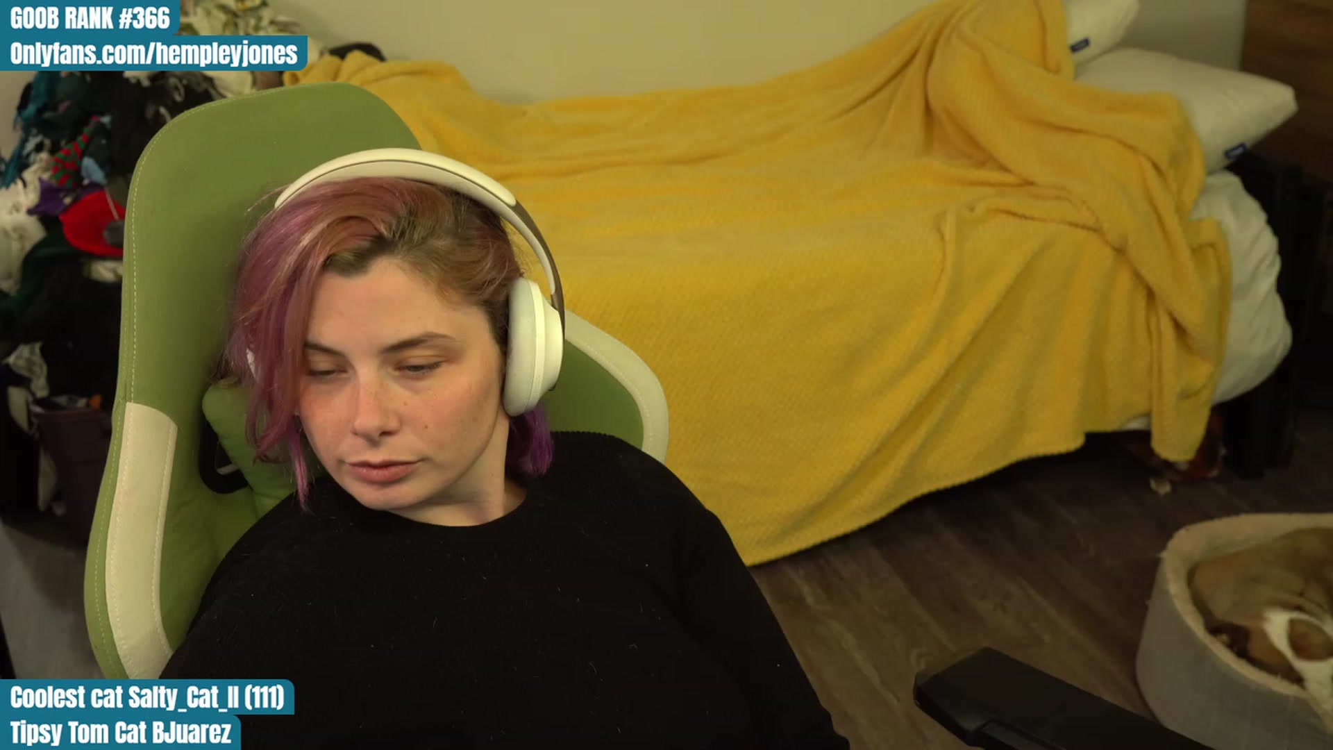 Gallery image thumbnail from Hempleyjones's myfreecams stream on, 09/13/2023, 02:00 image 7 of 20