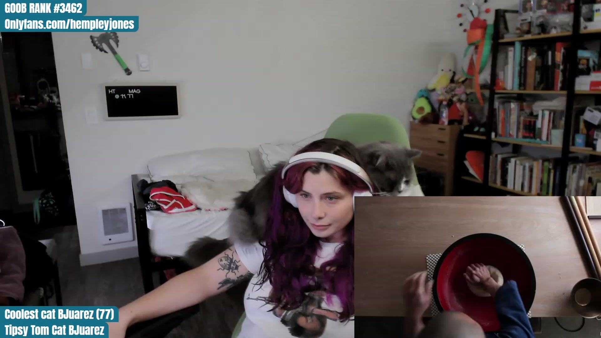 Gallery image thumbnail from Hempleyjones's myfreecams stream on, 10/03/2023, 02:58 image 2 of 20