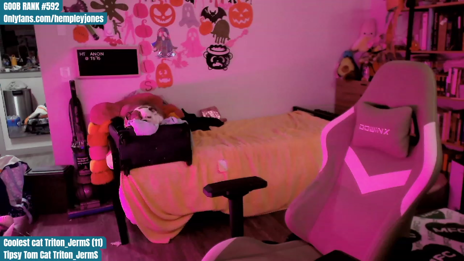 Gallery image thumbnail from Hempleyjones's myfreecams stream on, 10/16/2023, 17:25 image 6 of 20