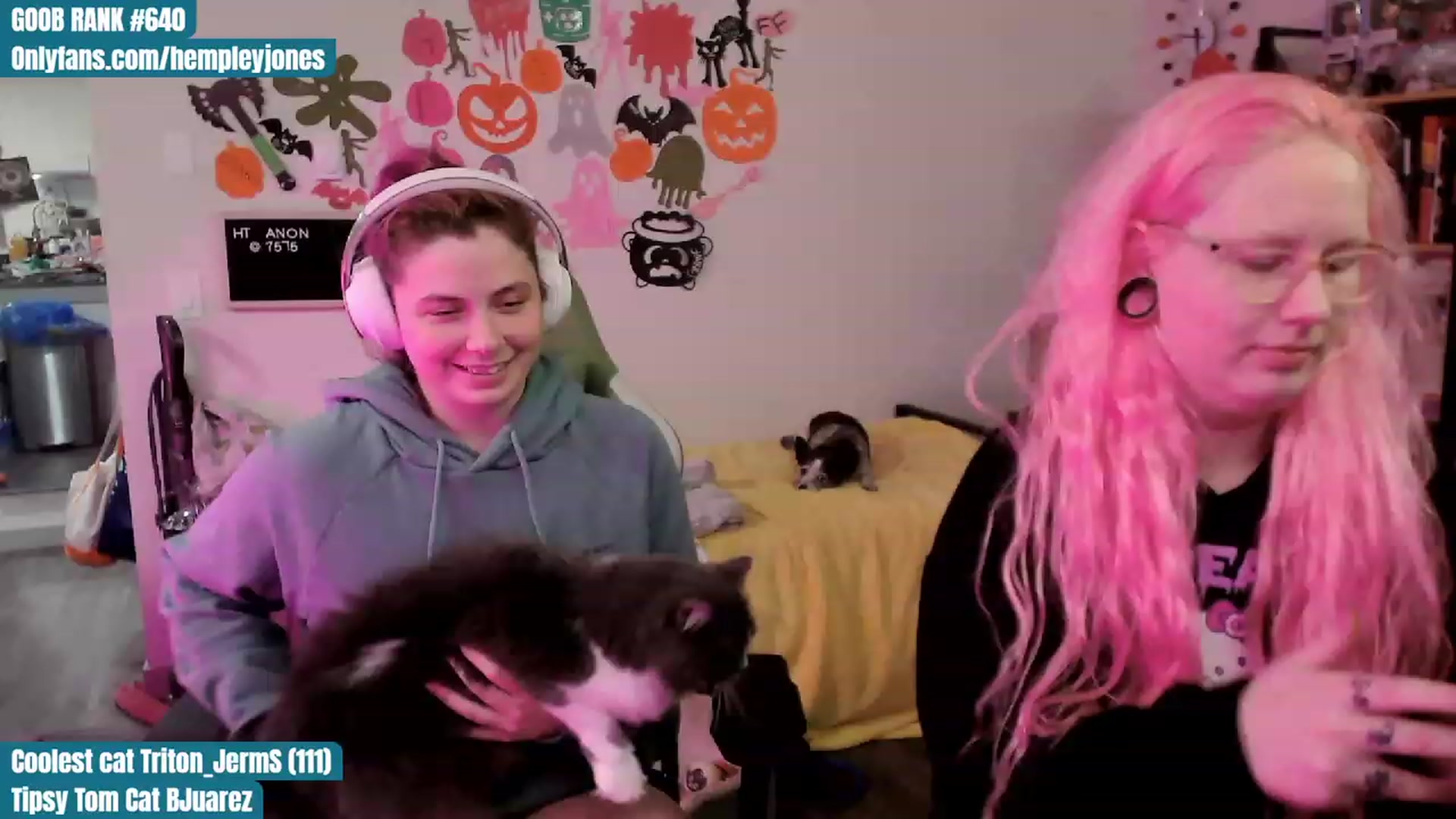 Gallery image thumbnail from Hempleyjones's myfreecams stream on, 10/19/2023, 02:05 image 4 of 20