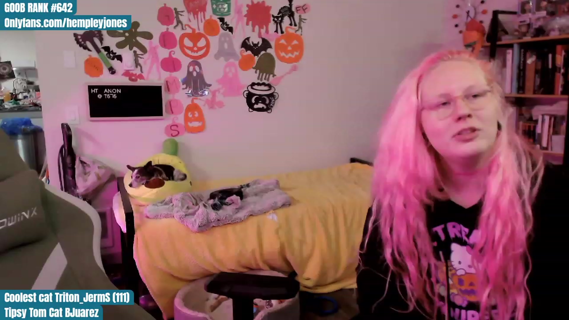Gallery image thumbnail from Hempleyjones's myfreecams stream on, 10/19/2023, 02:05 image 12 of 20