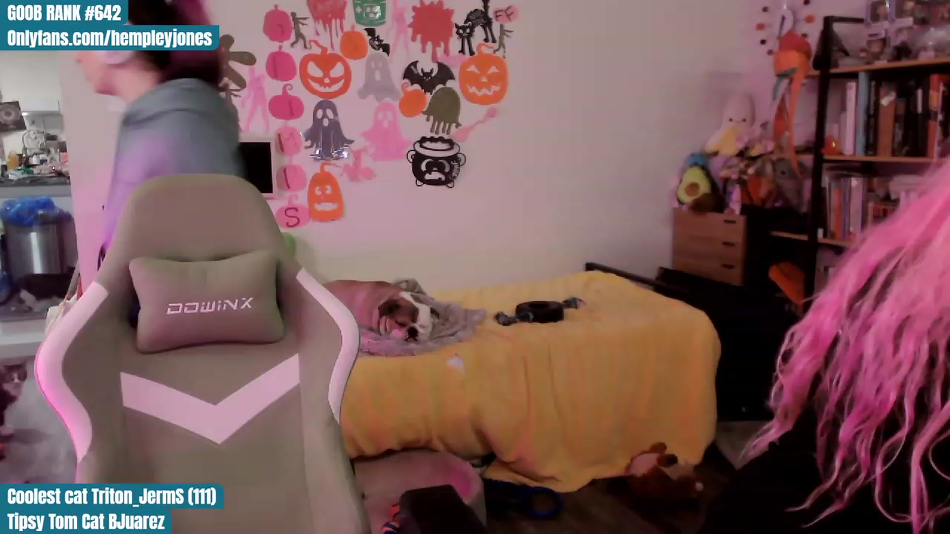 Gallery image thumbnail from Hempleyjones's myfreecams stream on, 10/19/2023, 02:05 image 14 of 20
