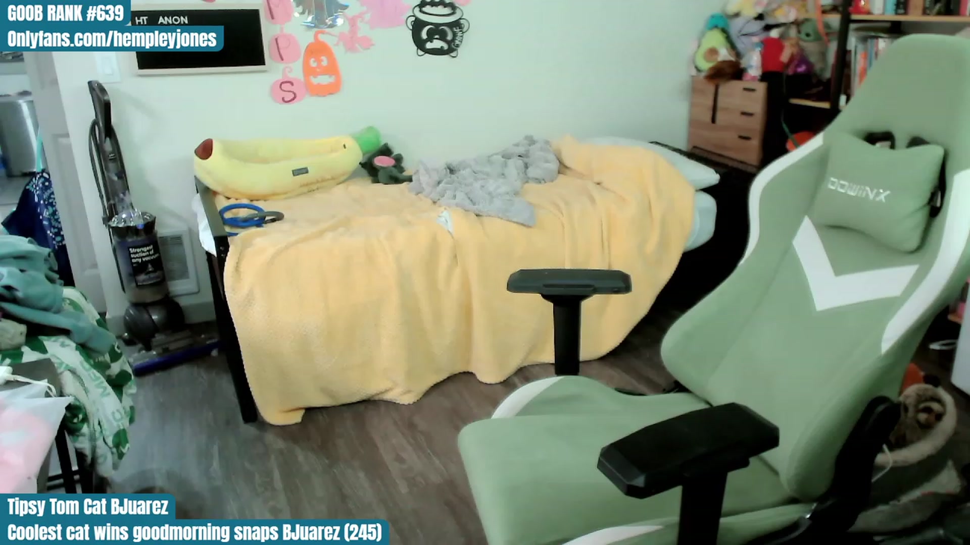 Gallery image thumbnail from Hempleyjones's myfreecams stream on, 10/22/2023, 01:53 image 20 of 20