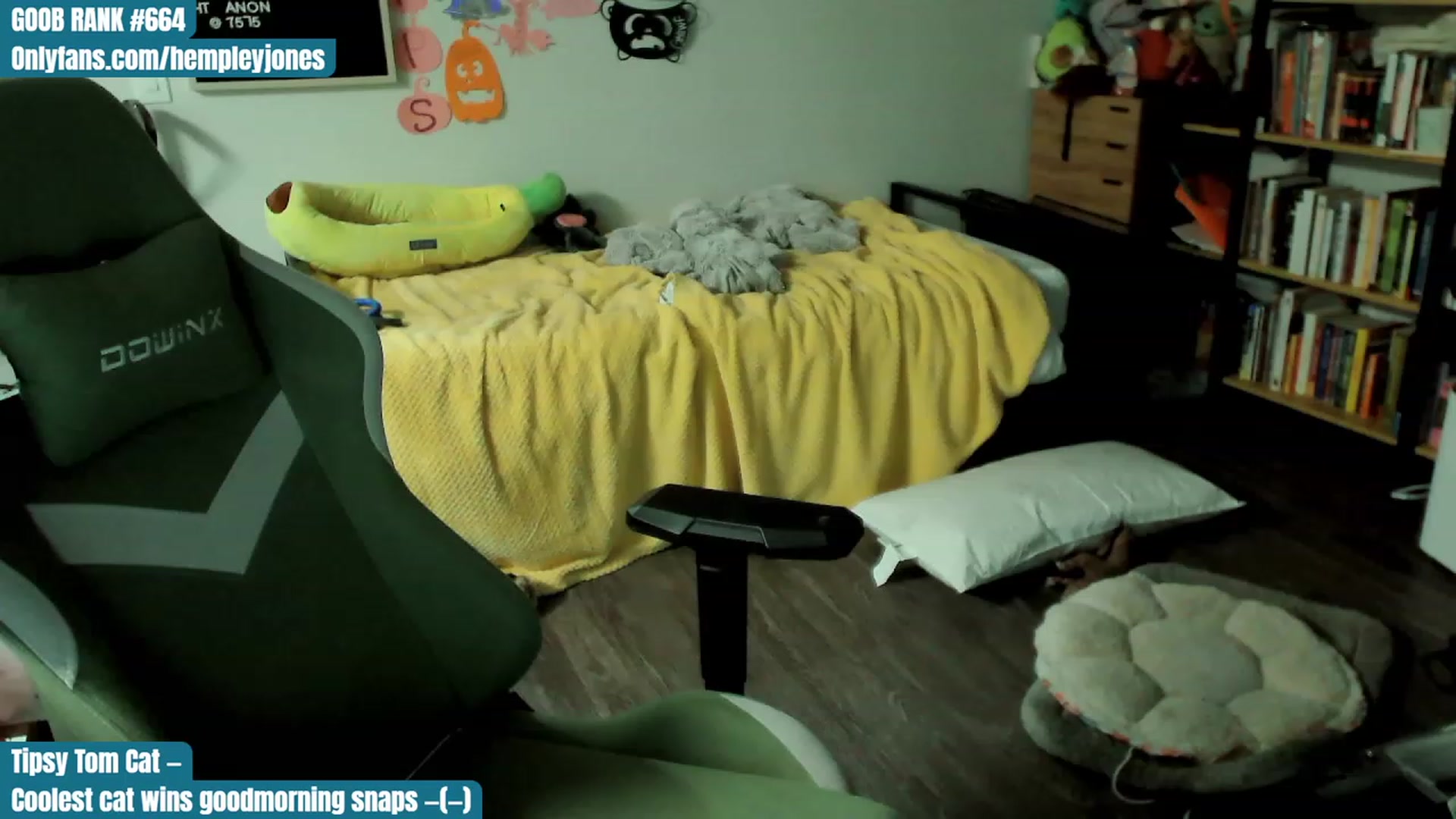 Gallery image thumbnail from Hempleyjones's myfreecams stream on, 10/22/2023, 19:04 image 3 of 20