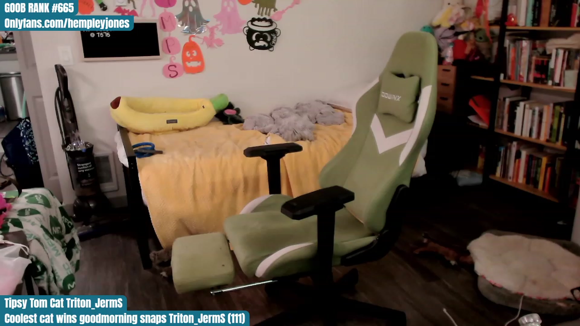 Gallery image thumbnail from Hempleyjones's myfreecams stream on, 10/22/2023, 19:04 image 20 of 20