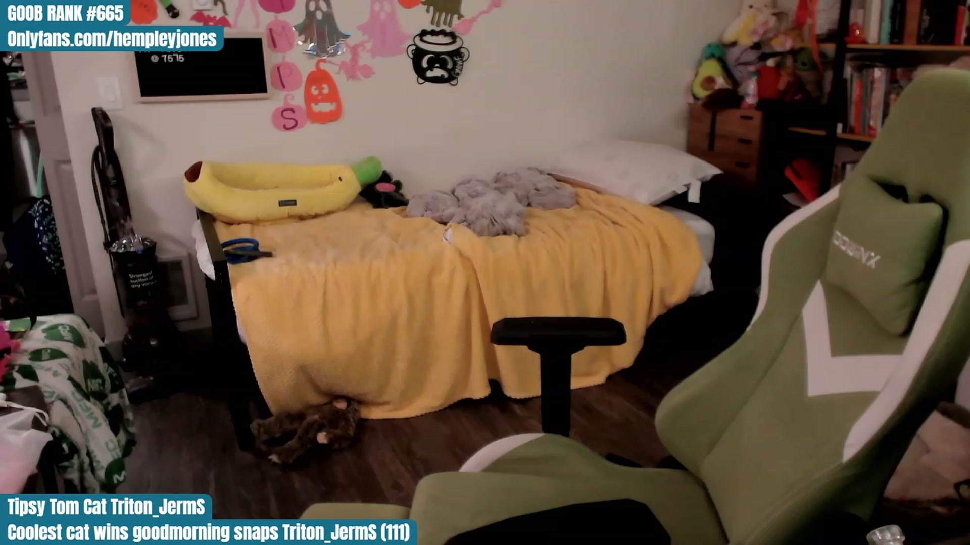 Gallery image thumbnail from Hempleyjones's myfreecams stream on, 10/22/2023, 19:04 image 19 of 20