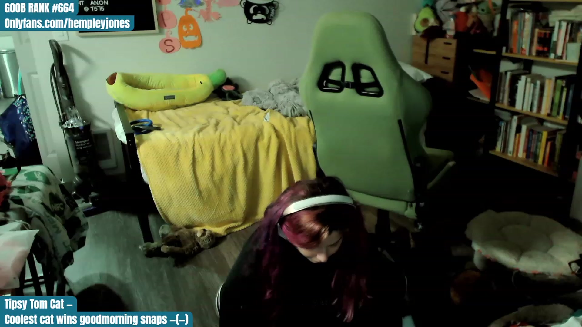 Gallery image thumbnail from Hempleyjones's myfreecams stream on, 10/22/2023, 19:04 image 6 of 20