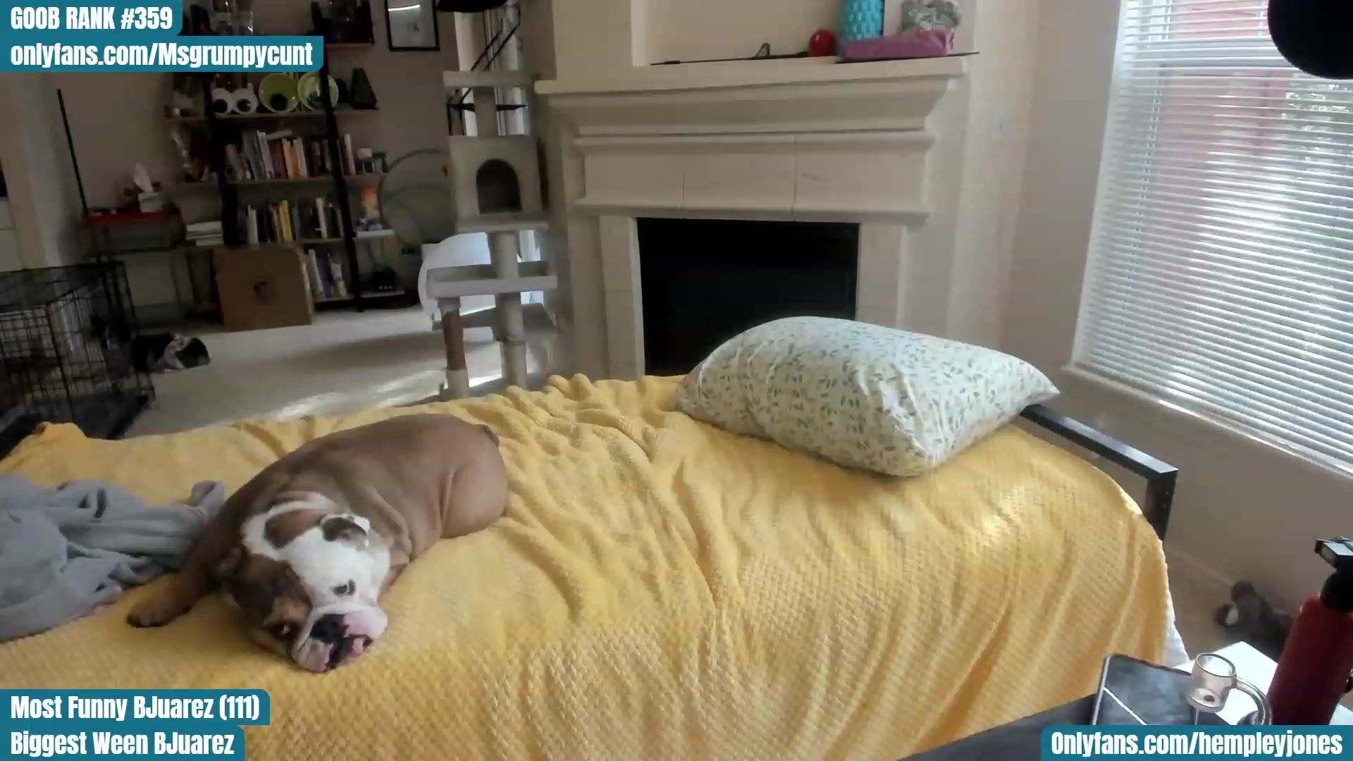 Gallery image thumbnail from Hemppopotamus's myfreecams stream on, 04/06/2023, 24:04 image 2 of 20
