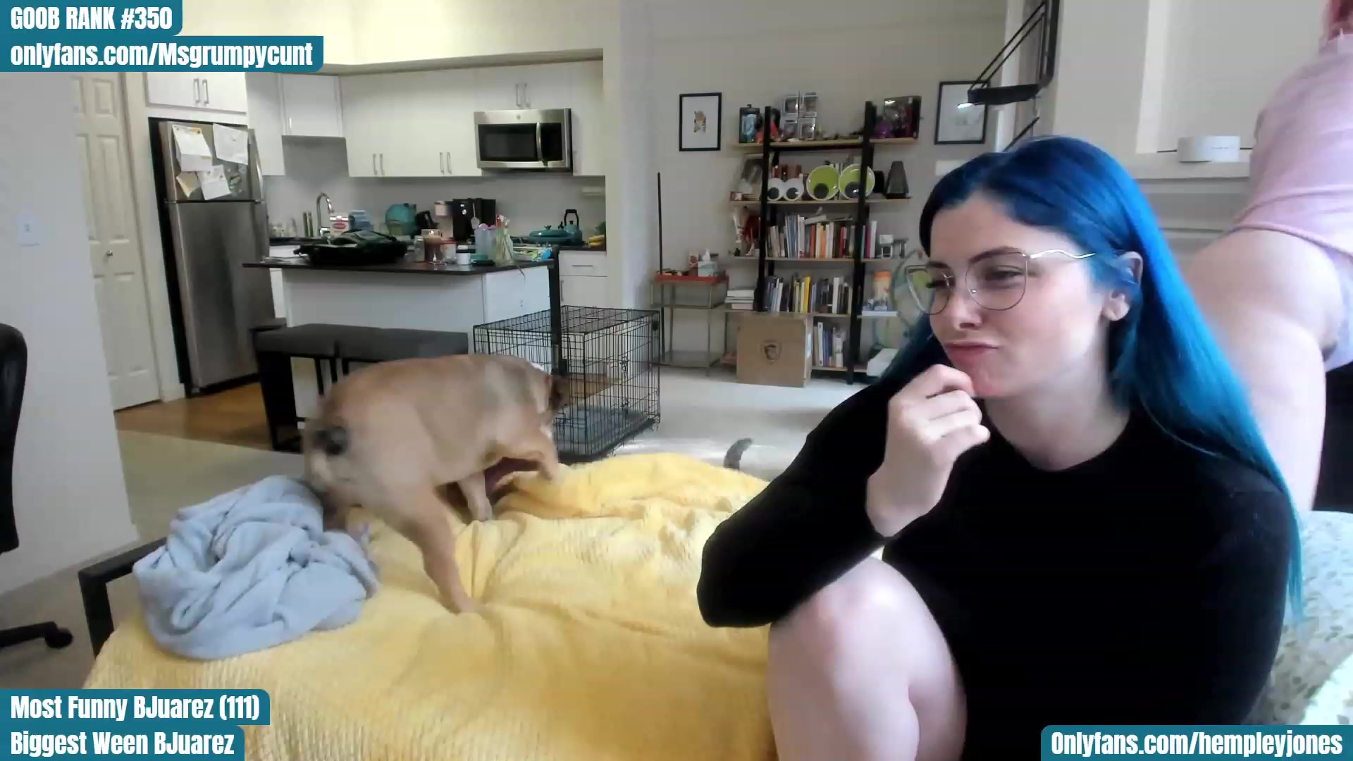 Gallery image thumbnail from Hemppopotamus's myfreecams stream on, 04/06/2023, 24:04 image 9 of 20