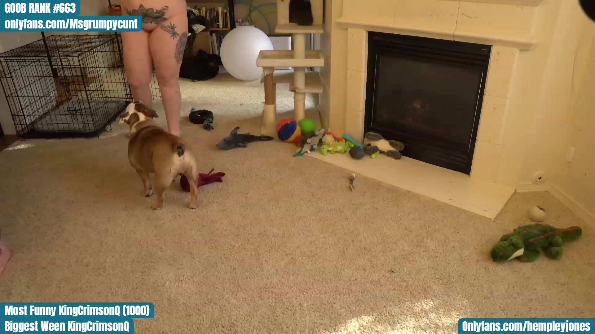 Gallery image thumbnail from Hemppopotamus's myfreecams stream on, 04/15/2023, 24:41 image 14 of 20