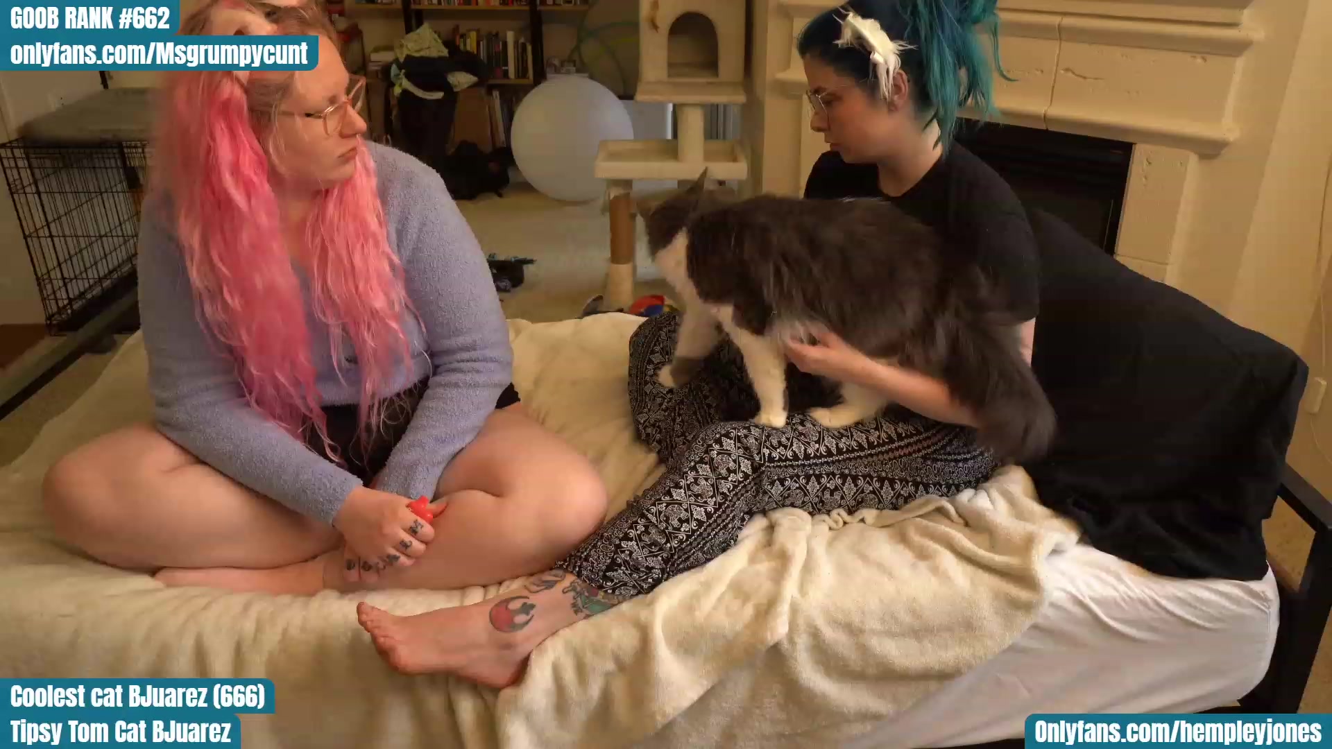Gallery image thumbnail from Hemppopotamus's myfreecams stream on, 04/16/2023, 01:00 image 17 of 20
