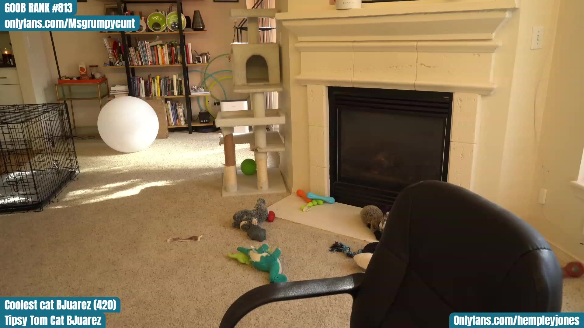 Gallery image thumbnail from Hemppopotamus's myfreecams stream on, 04/20/2023, 24:25 image 17 of 20
