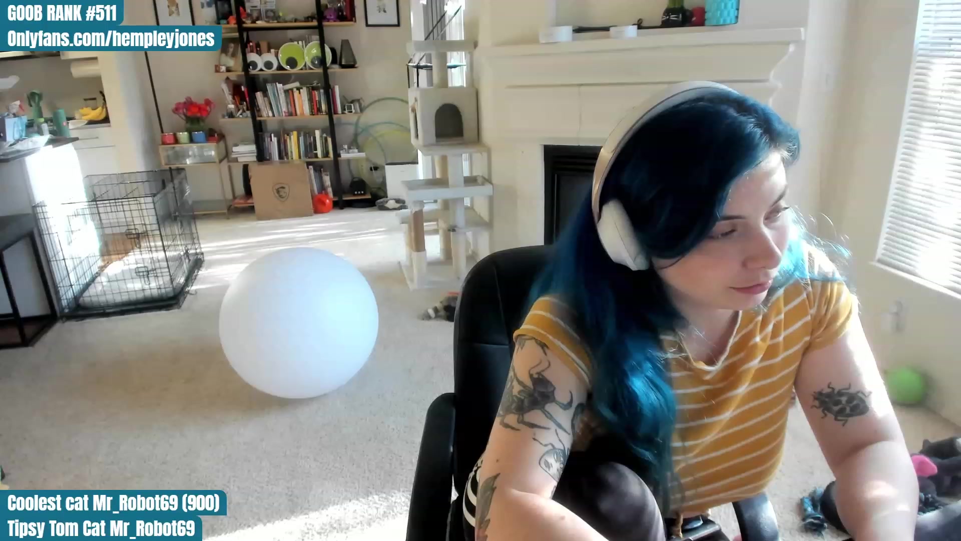 Gallery image thumbnail from Hemppopotamus's myfreecams stream on, 04/26/2023, 01:59 image 14 of 20