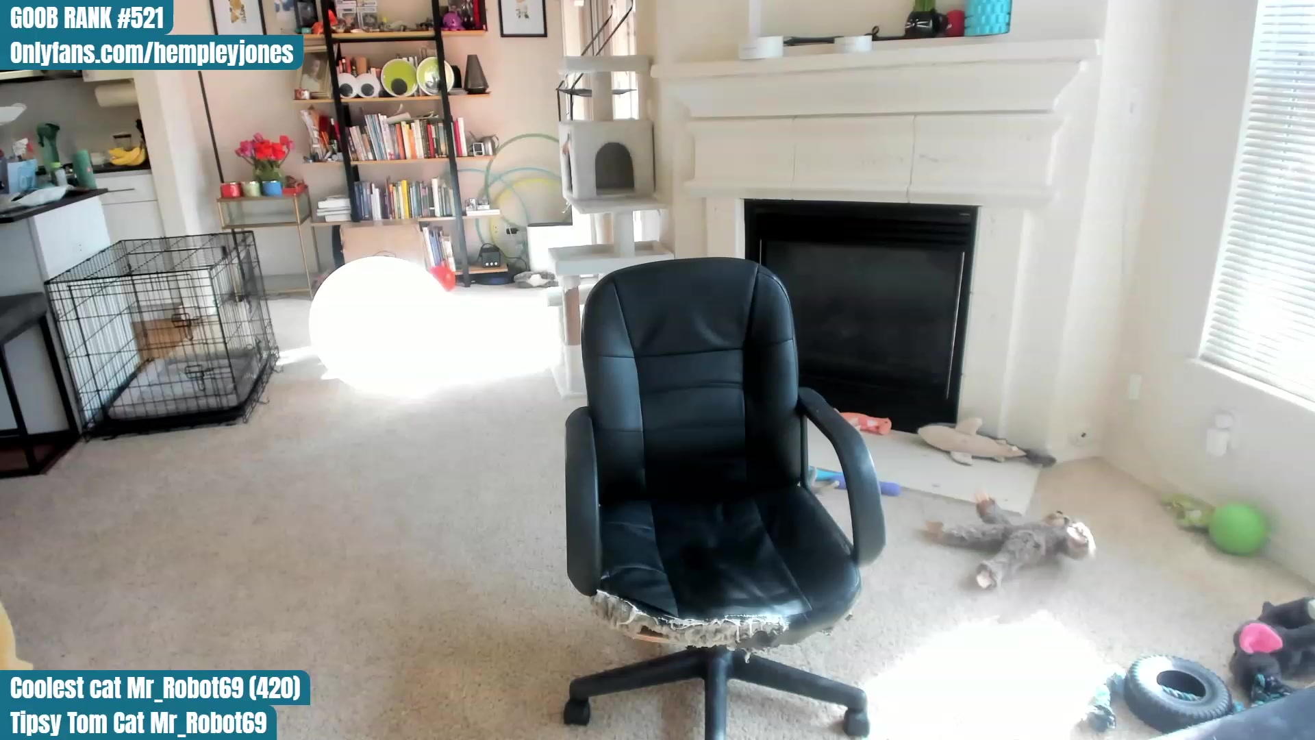 Gallery image thumbnail from Hemppopotamus's myfreecams stream on, 04/26/2023, 01:59 image 5 of 20