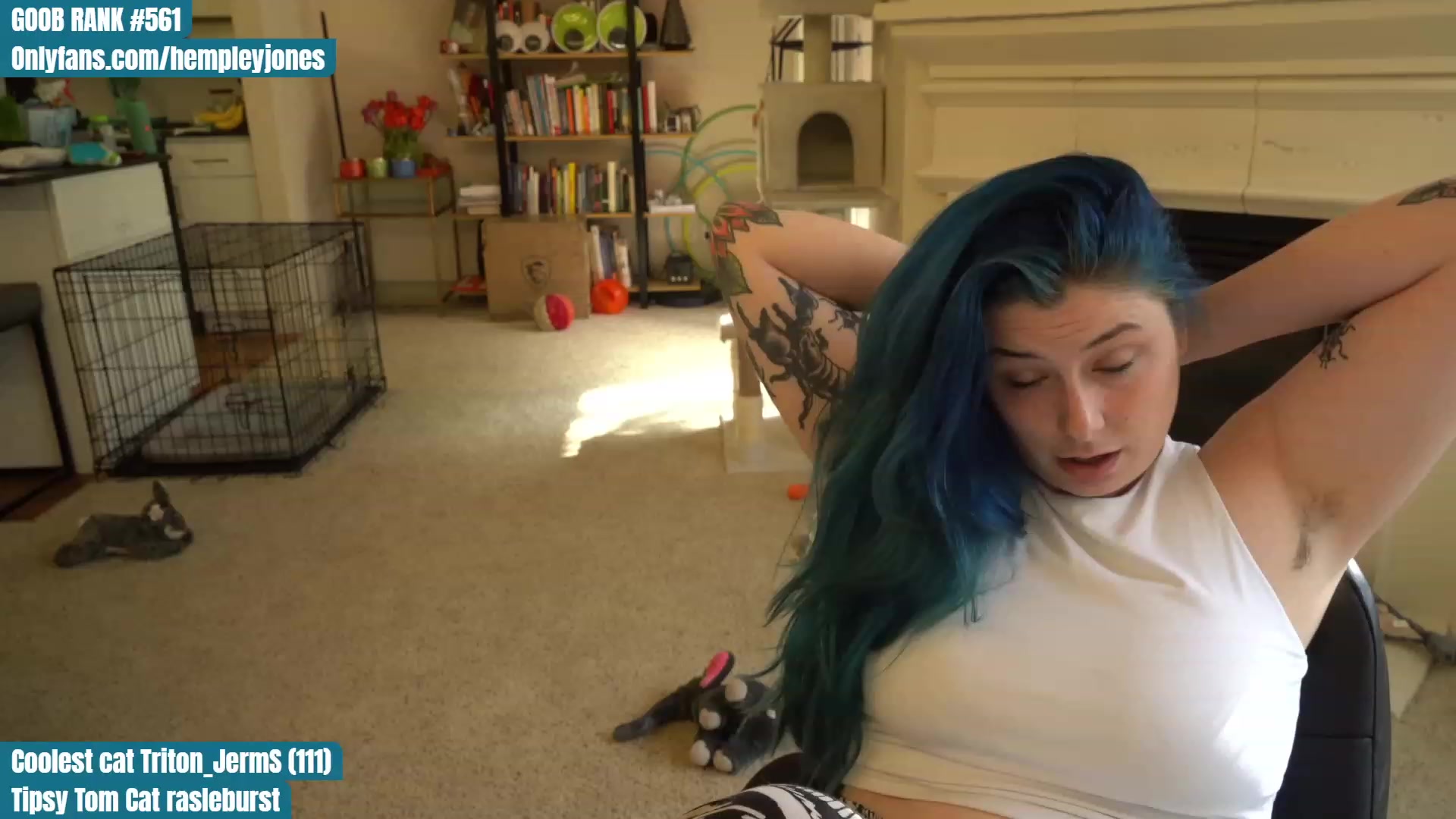 Gallery image thumbnail from Hemppopotamus's myfreecams stream on, 04/28/2023, 24:01 image 8 of 20