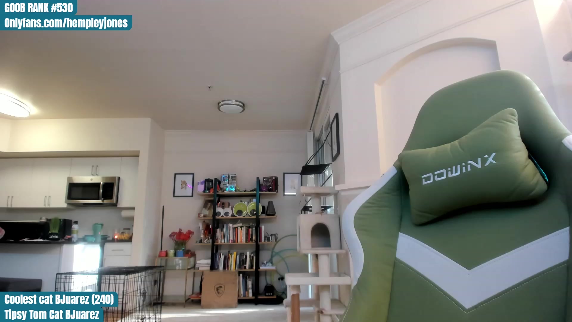 Gallery image thumbnail from Hemppopotamus's myfreecams stream on, 04/29/2023, 01:58 image 12 of 20