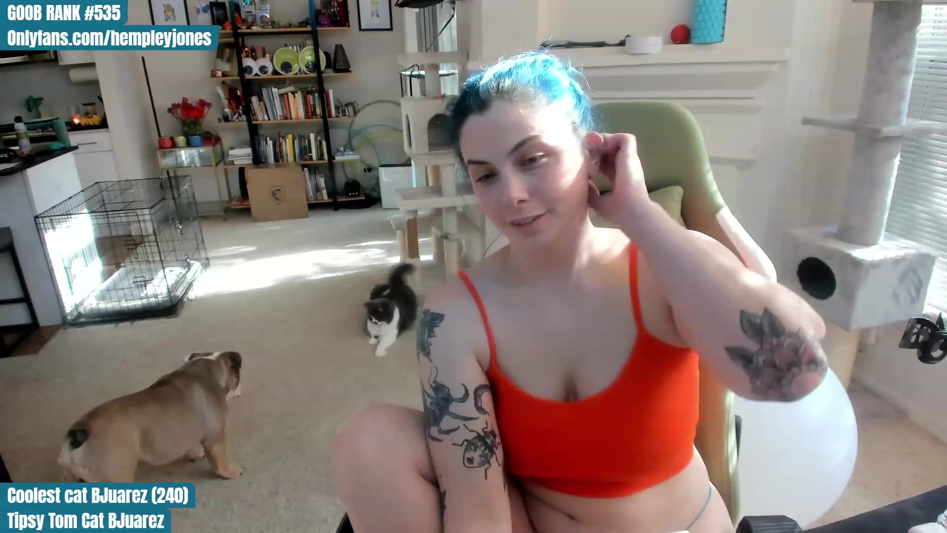 Gallery image thumbnail from Hemppopotamus's myfreecams stream on, 04/29/2023, 01:58 image 7 of 20