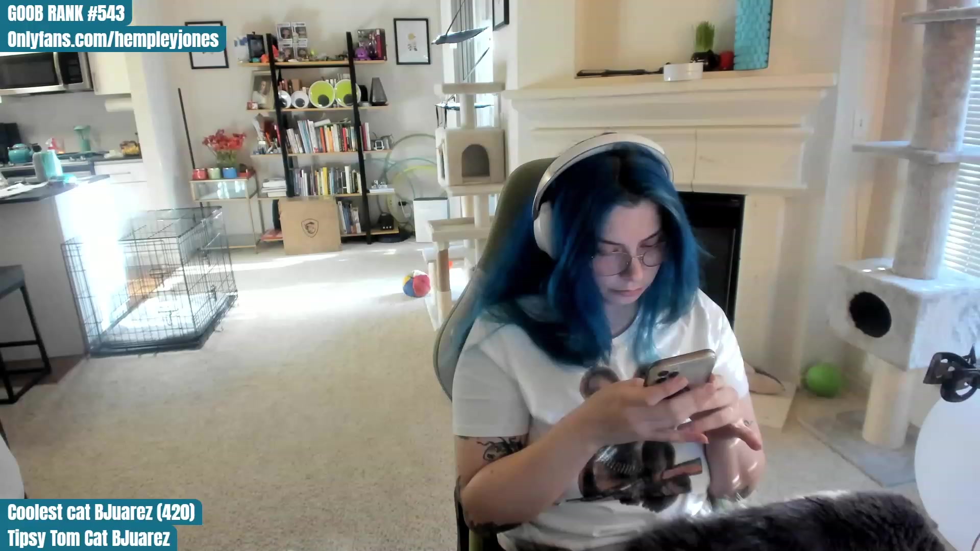Gallery image thumbnail from Hemppopotamus's myfreecams stream on, 04/30/2023, 01:45 image 17 of 20