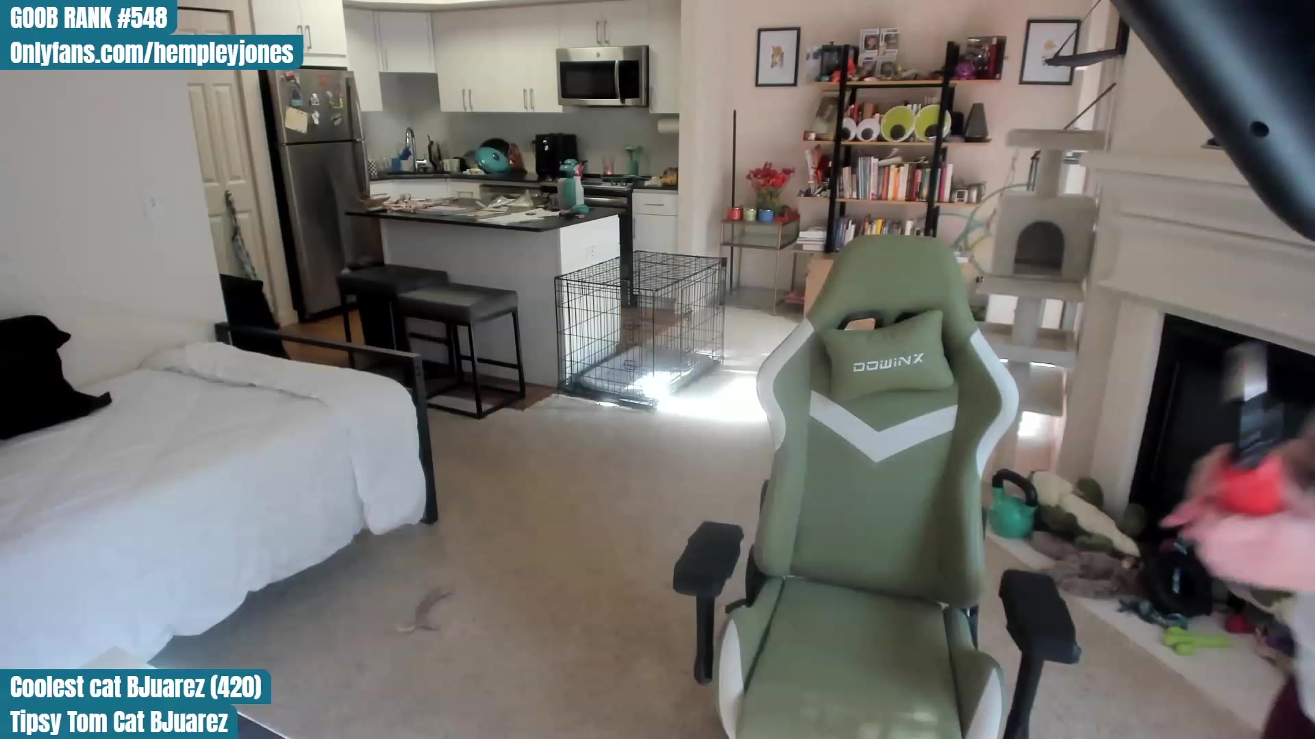 Gallery image thumbnail from Hemppopotamus's myfreecams stream on, 04/30/2023, 01:45 image 7 of 20
