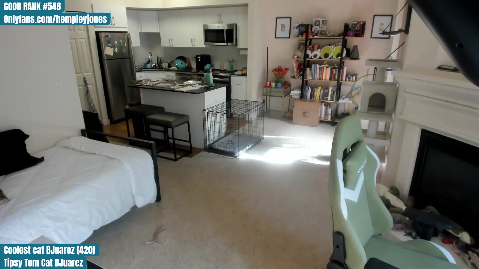 Gallery image thumbnail from Hemppopotamus's myfreecams stream on, 04/30/2023, 01:45 image 6 of 20