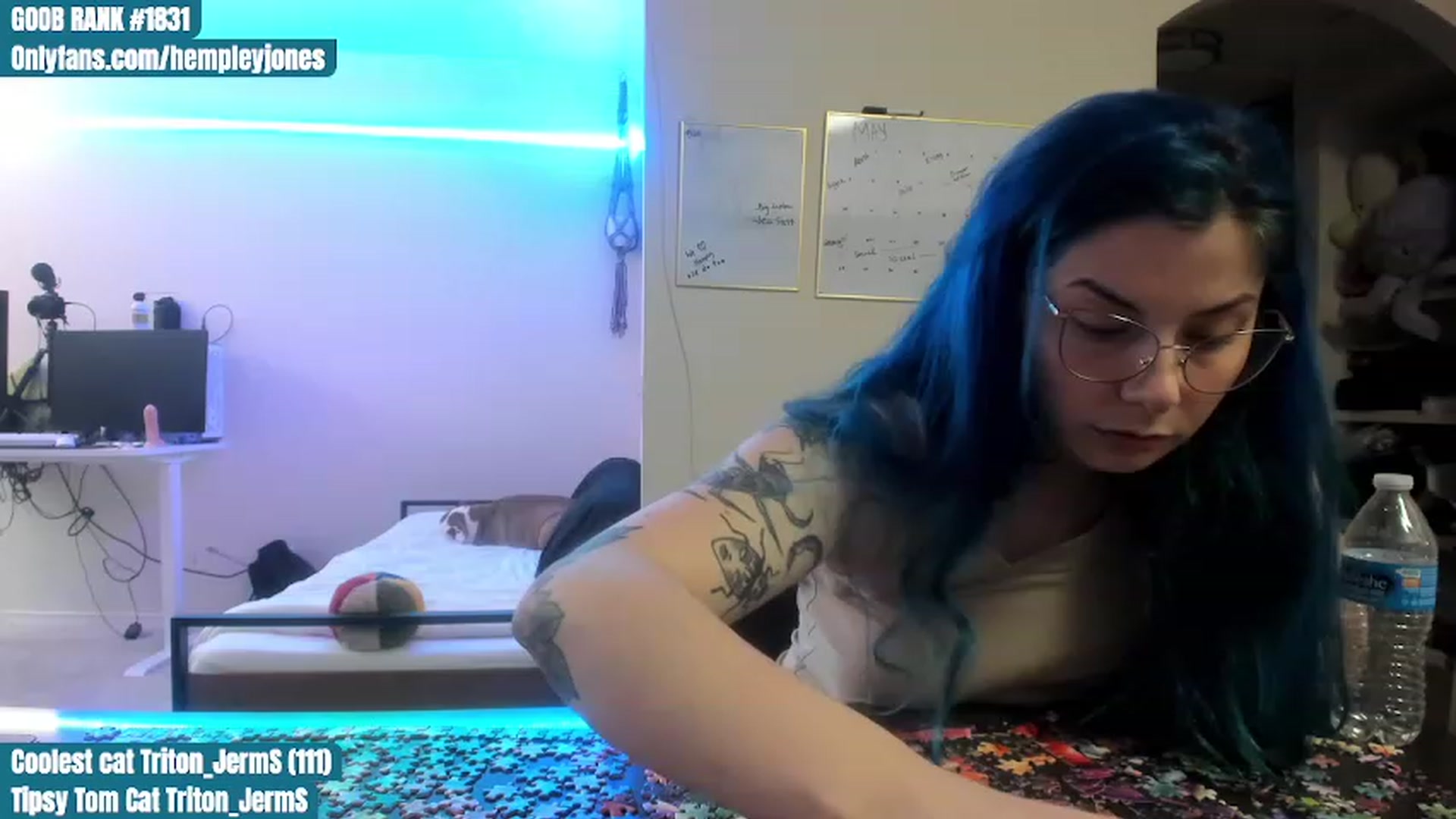 Gallery image thumbnail from Hemppopotamus's myfreecams stream on, 05/02/2023, 24:03 image 19 of 20