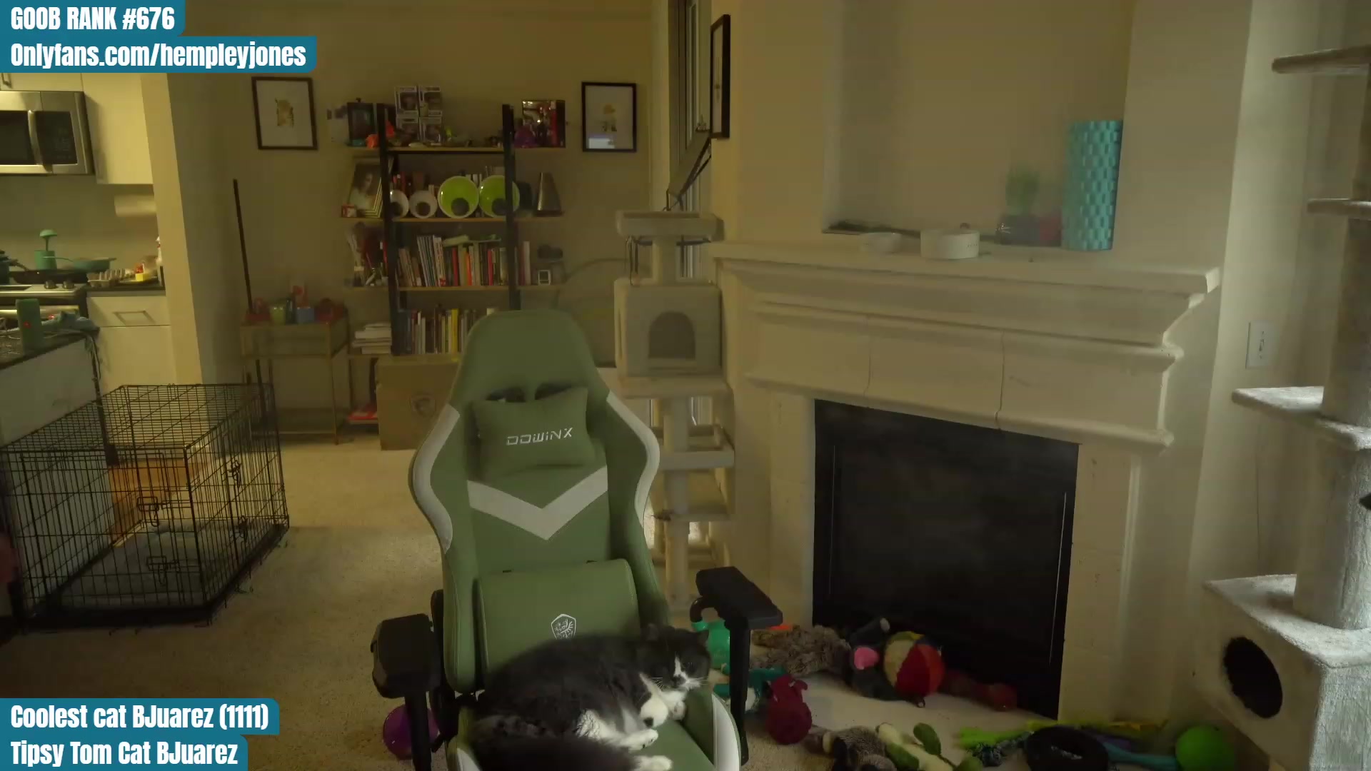 Gallery image thumbnail from Hemppopotamus's myfreecams stream on, 05/05/2023, 01:29 image 3 of 20