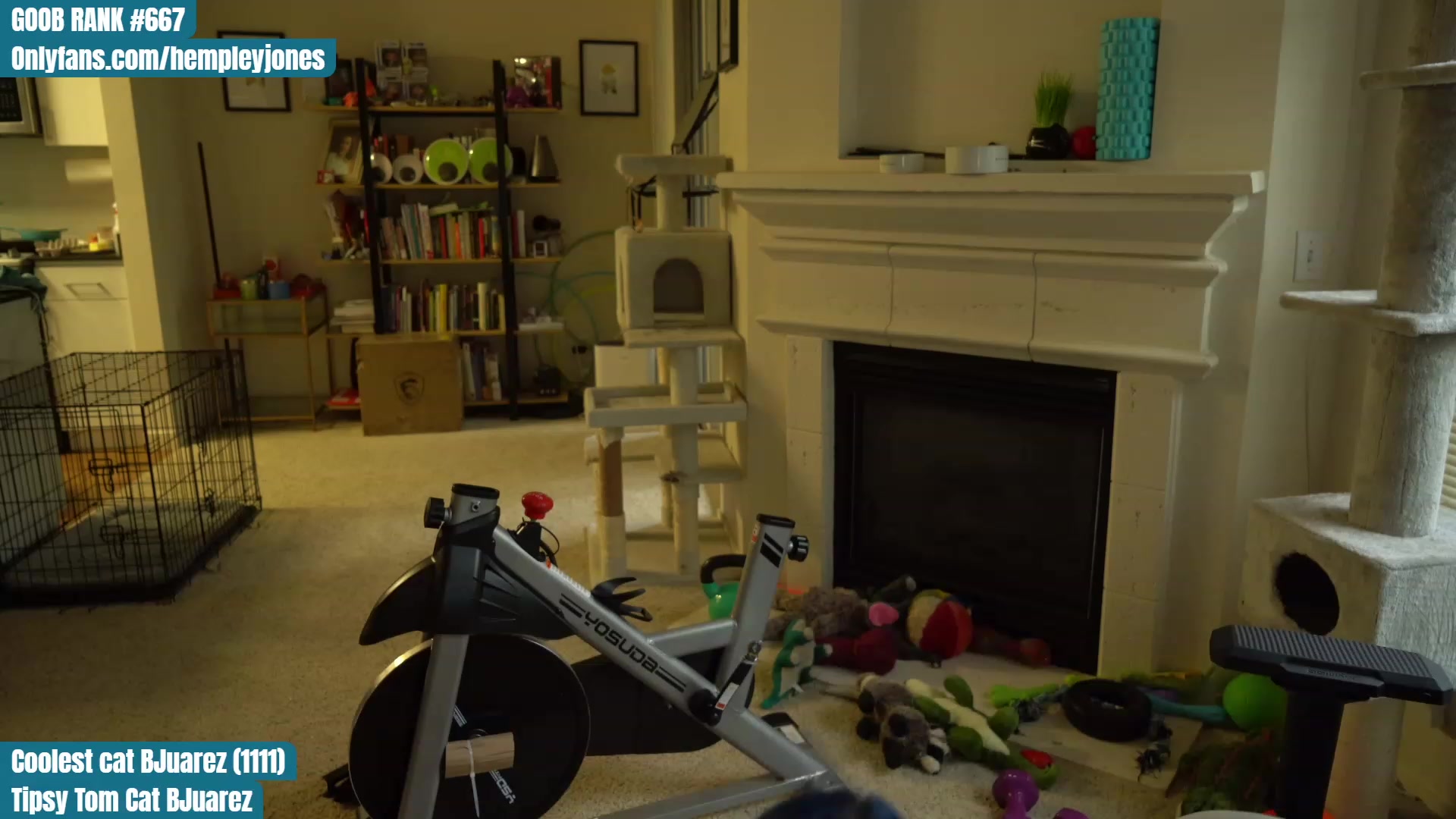 Gallery image thumbnail from Hemppopotamus's myfreecams stream on, 05/05/2023, 01:29 image 11 of 20