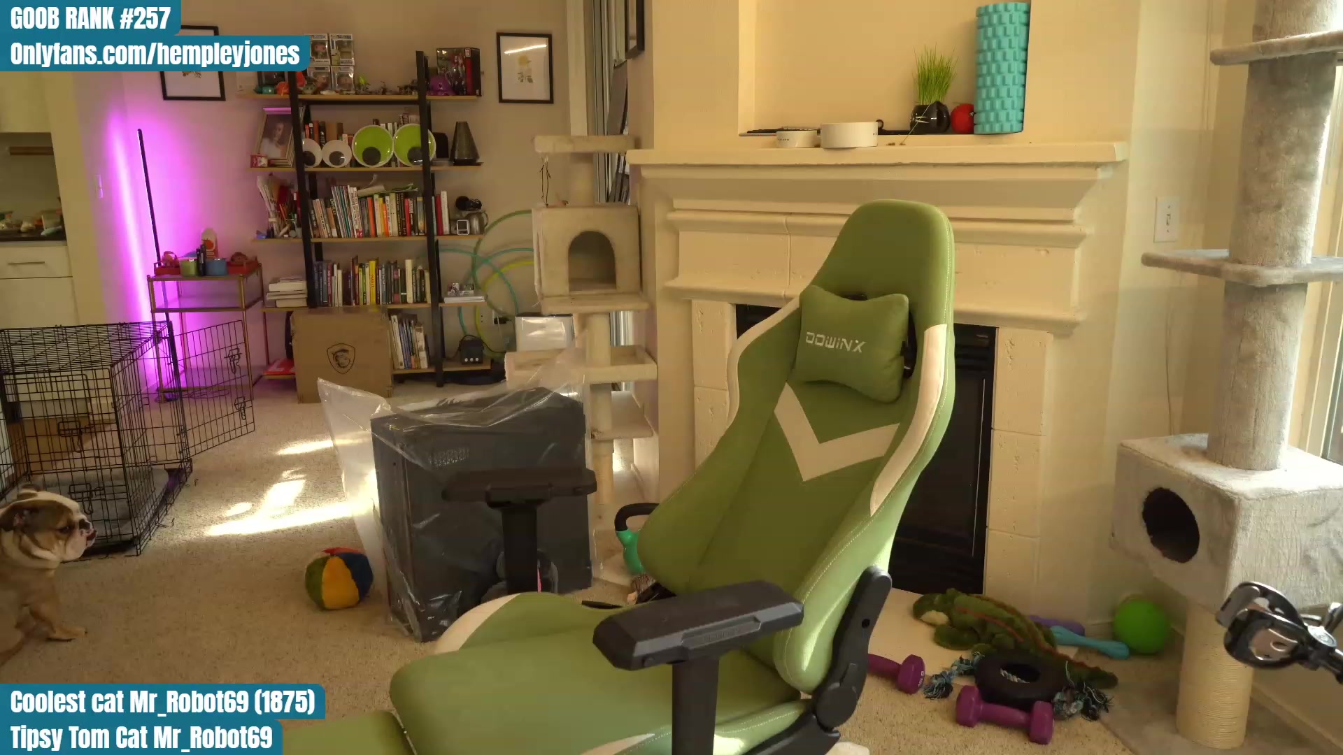 Gallery image thumbnail from Hemppopotamus's myfreecams stream on, 05/09/2023, 24:11 image 19 of 20