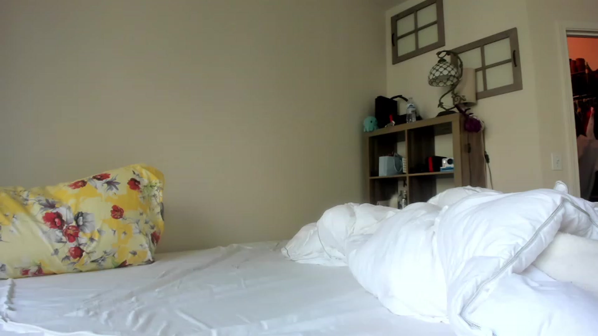Gallery image thumbnail from Hemppopotamus's myfreecams stream on, 05/10/2023, 17:48 image 13 of 20