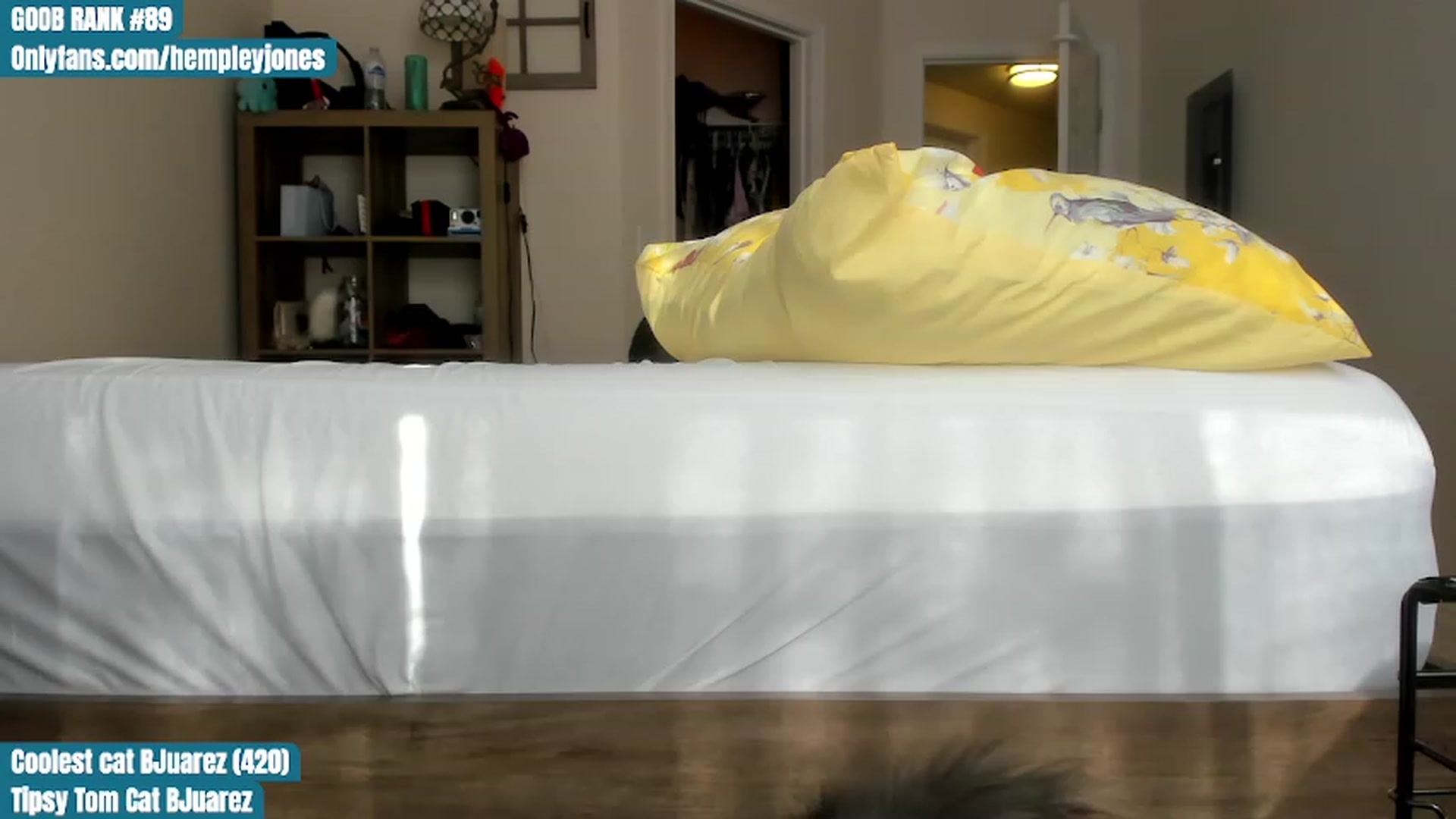 Gallery image thumbnail from Hemppopotamus's myfreecams stream on, 05/12/2023, 01:03 image 5 of 20