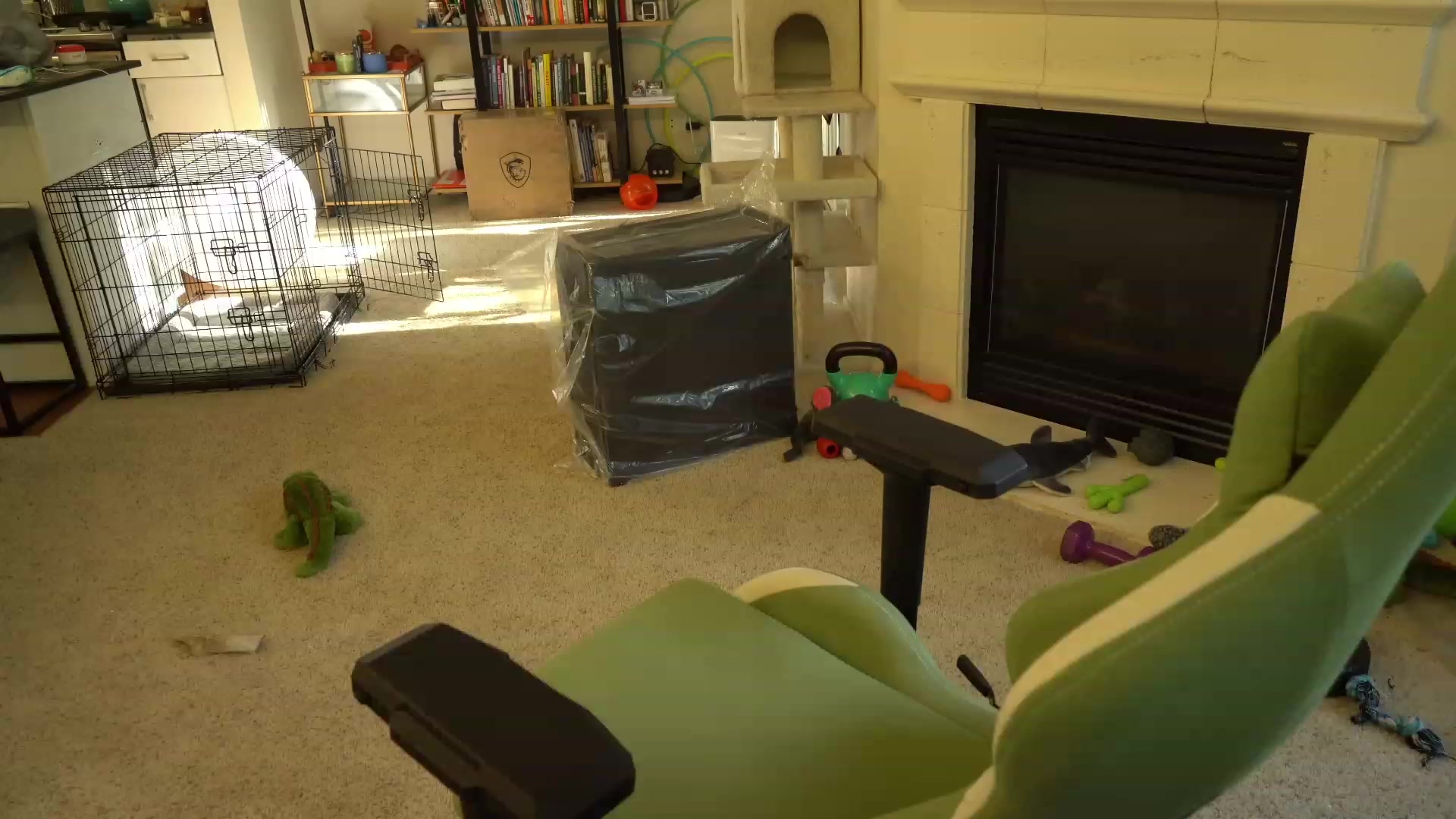 Gallery image thumbnail from Hemppopotamus's myfreecams stream on, 05/13/2023, 01:17 image 18 of 20