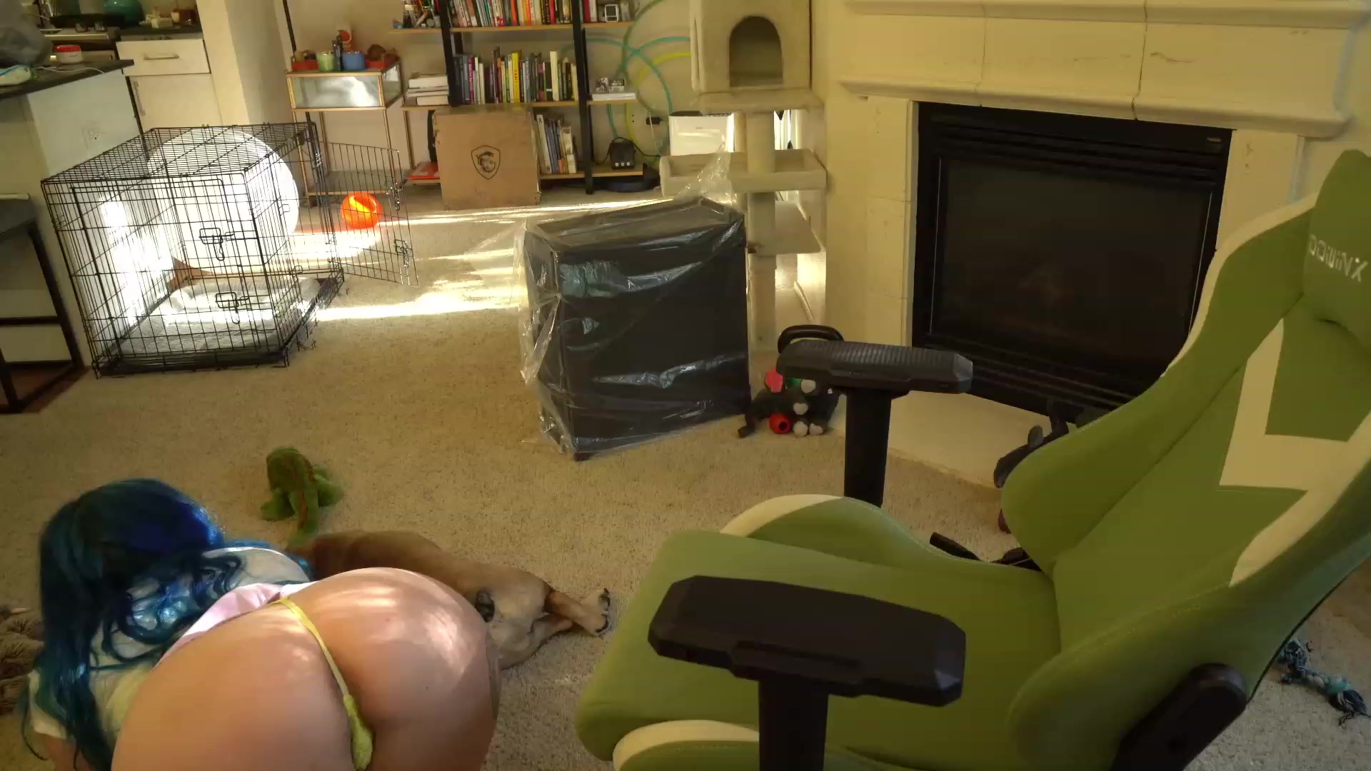 Gallery image thumbnail from Hemppopotamus's myfreecams stream on, 05/13/2023, 01:17 image 13 of 20