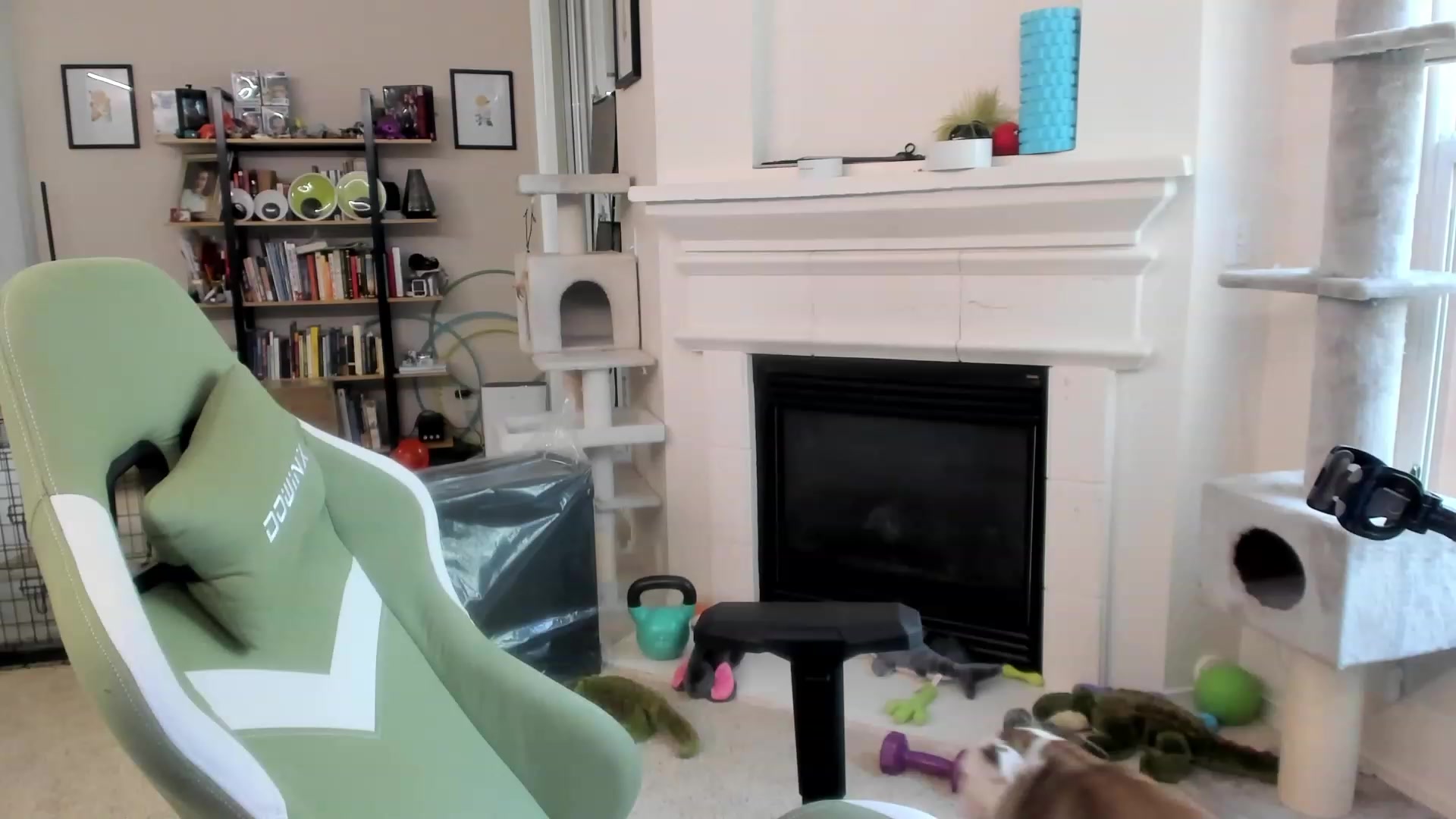 Gallery image thumbnail from Hemppopotamus's myfreecams stream on, 05/13/2023, 19:27 image 16 of 20