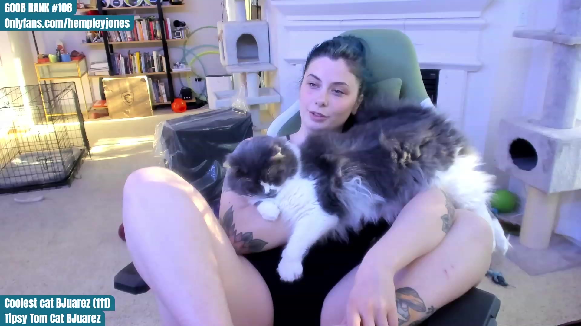 Gallery image thumbnail from Hemppopotamus's myfreecams stream on, 05/15/2023, 01:34 image 17 of 20