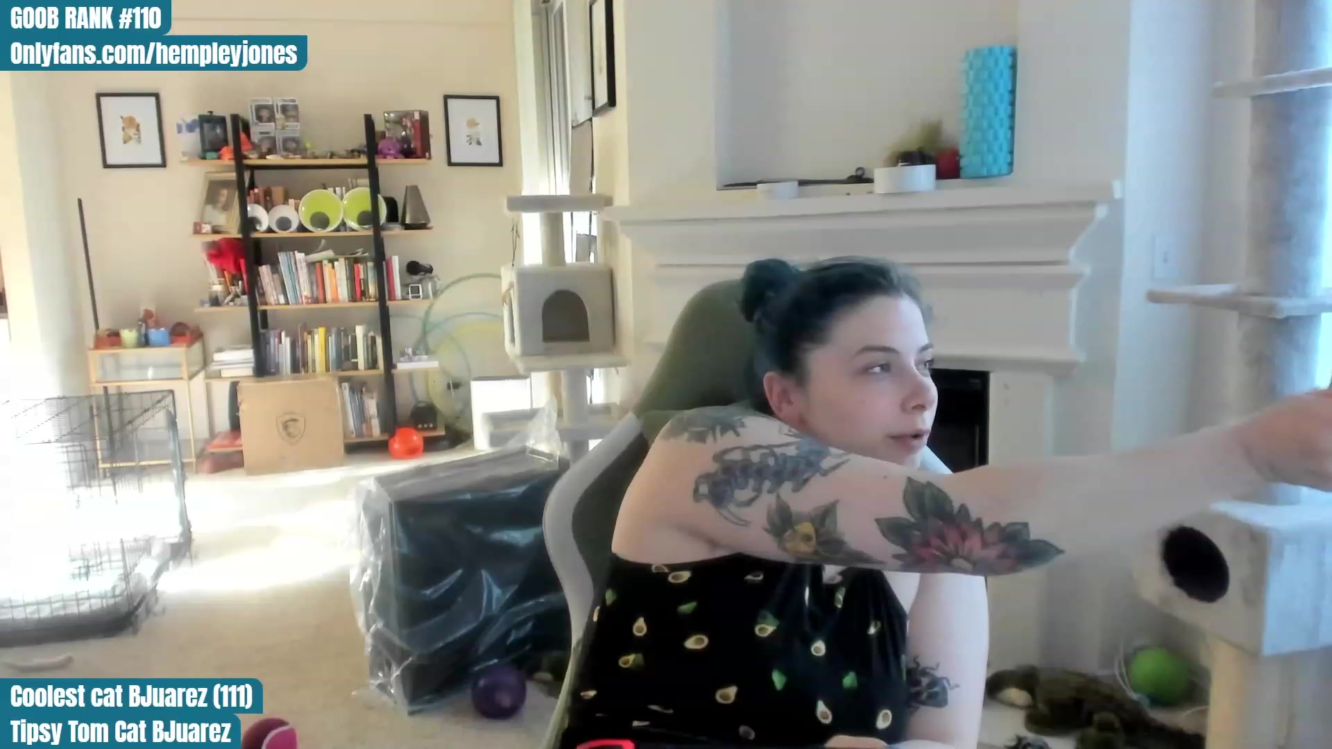 Gallery image thumbnail from Hemppopotamus's myfreecams stream on, 05/15/2023, 01:34 image 5 of 20