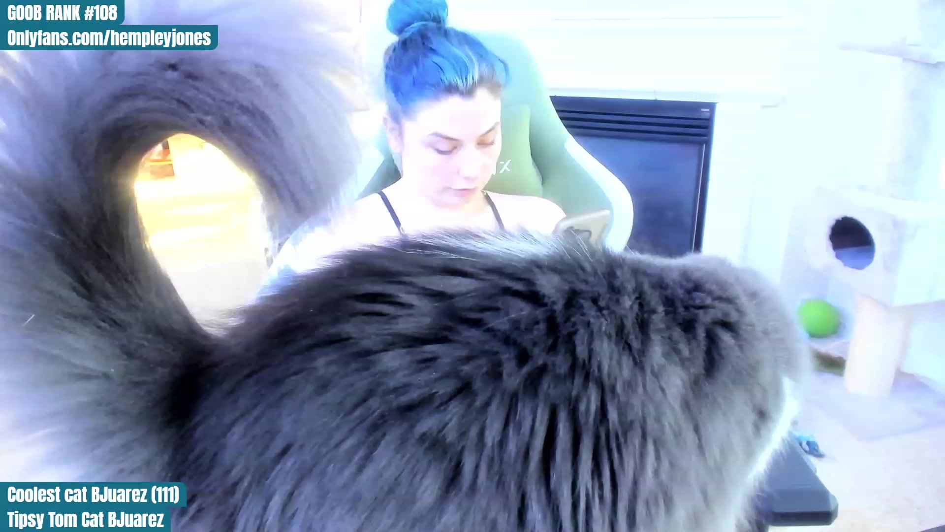 Gallery image thumbnail from Hemppopotamus's myfreecams stream on, 05/15/2023, 01:34 image 15 of 20