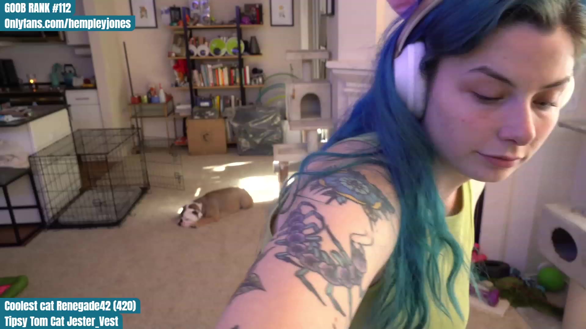 Gallery image thumbnail from Hemppopotamus's myfreecams stream on, 05/16/2023, 24:25 image 6 of 20