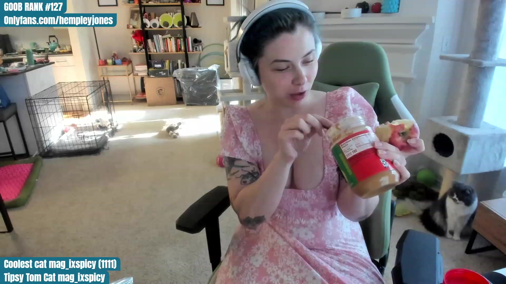 Gallery image thumbnail from Hemppopotamus's myfreecams stream on, 05/19/2023, 01:46 image 12 of 20