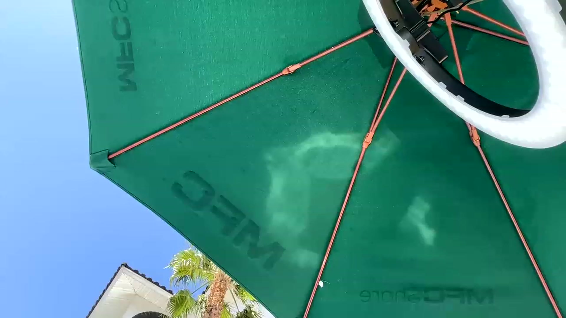 Gallery image thumbnail from Hemppopotamus's myfreecams stream on, 05/24/2023, 21:30 image 13 of 20