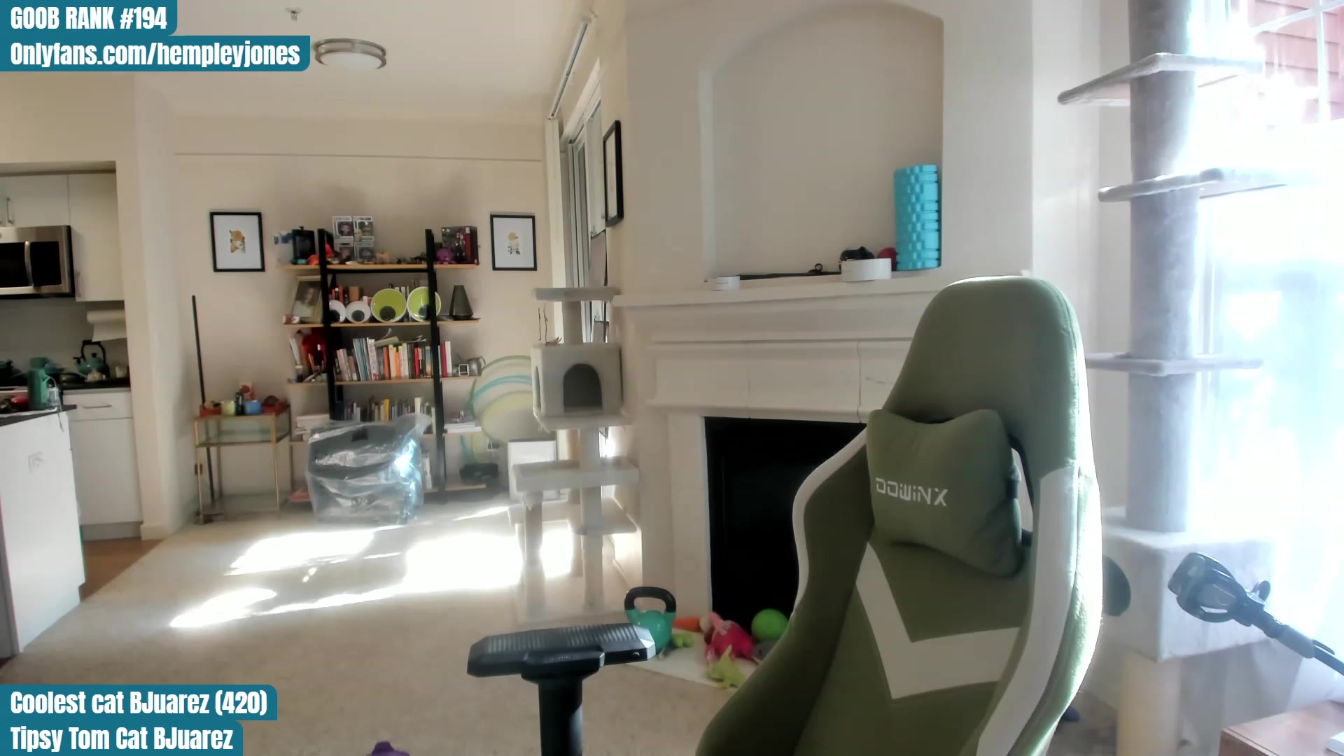 Gallery image thumbnail from Hemppopotamus's myfreecams stream on, 05/29/2023, 24:39 image 18 of 20