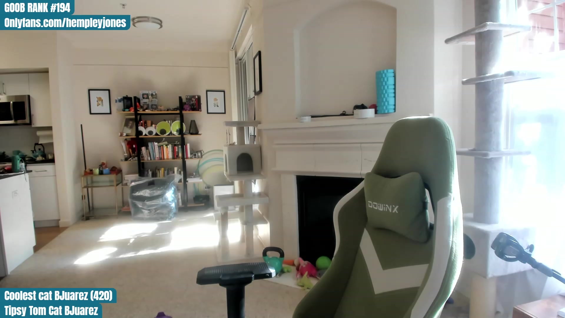 Gallery image thumbnail from Hemppopotamus's myfreecams stream on, 05/29/2023, 24:39 image 17 of 20