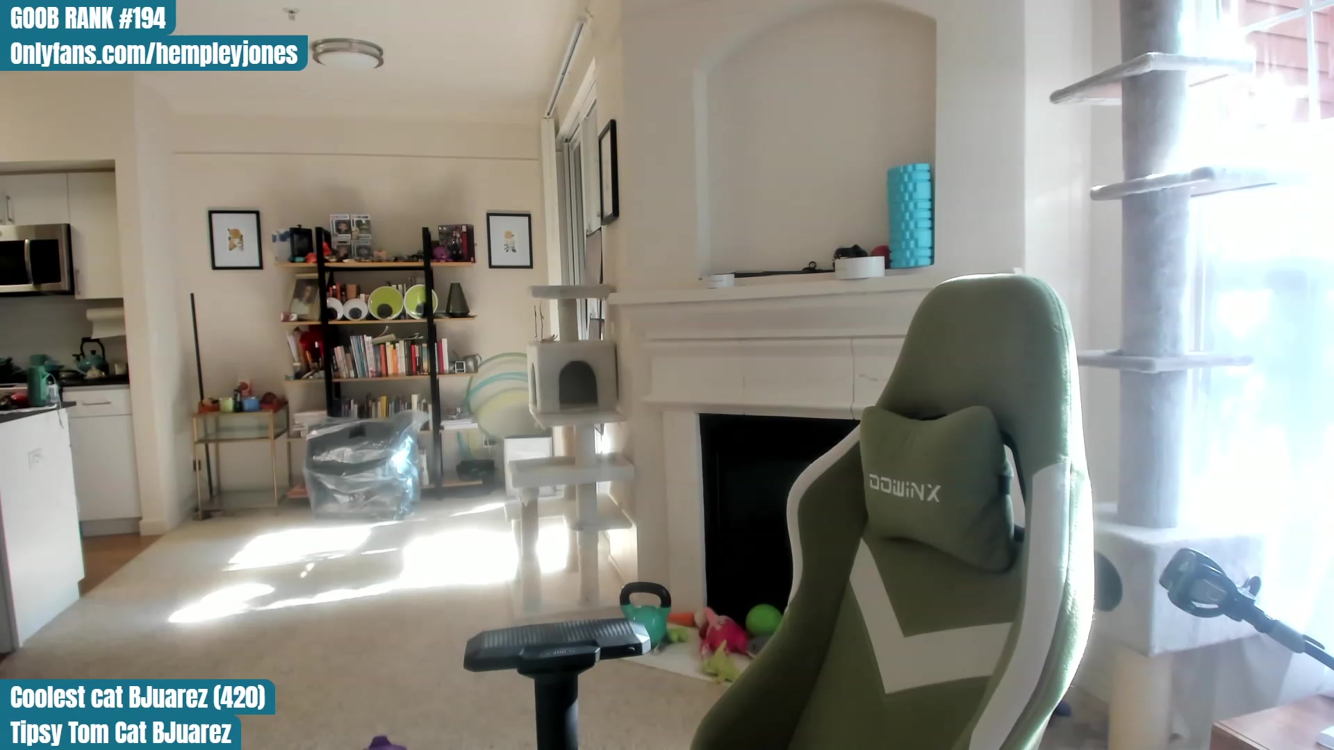 Gallery image thumbnail from Hemppopotamus's myfreecams stream on, 05/29/2023, 01:24 image 12 of 20